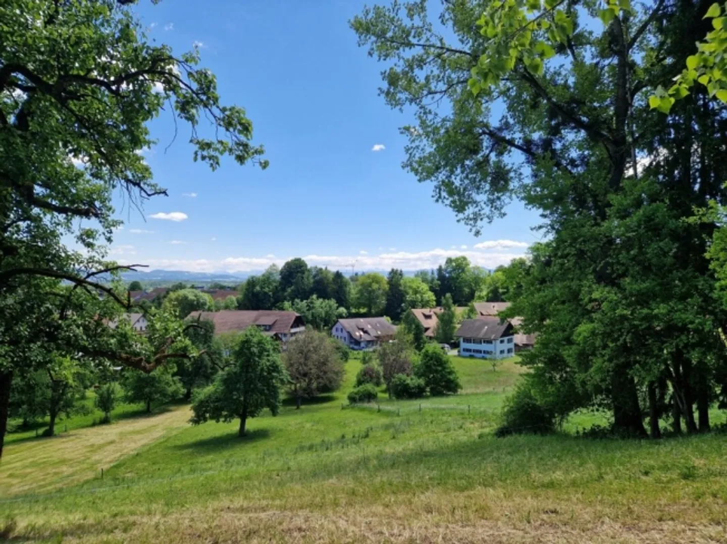 «Bauland mit Vorprojektstudie» - Foto 7 von 7