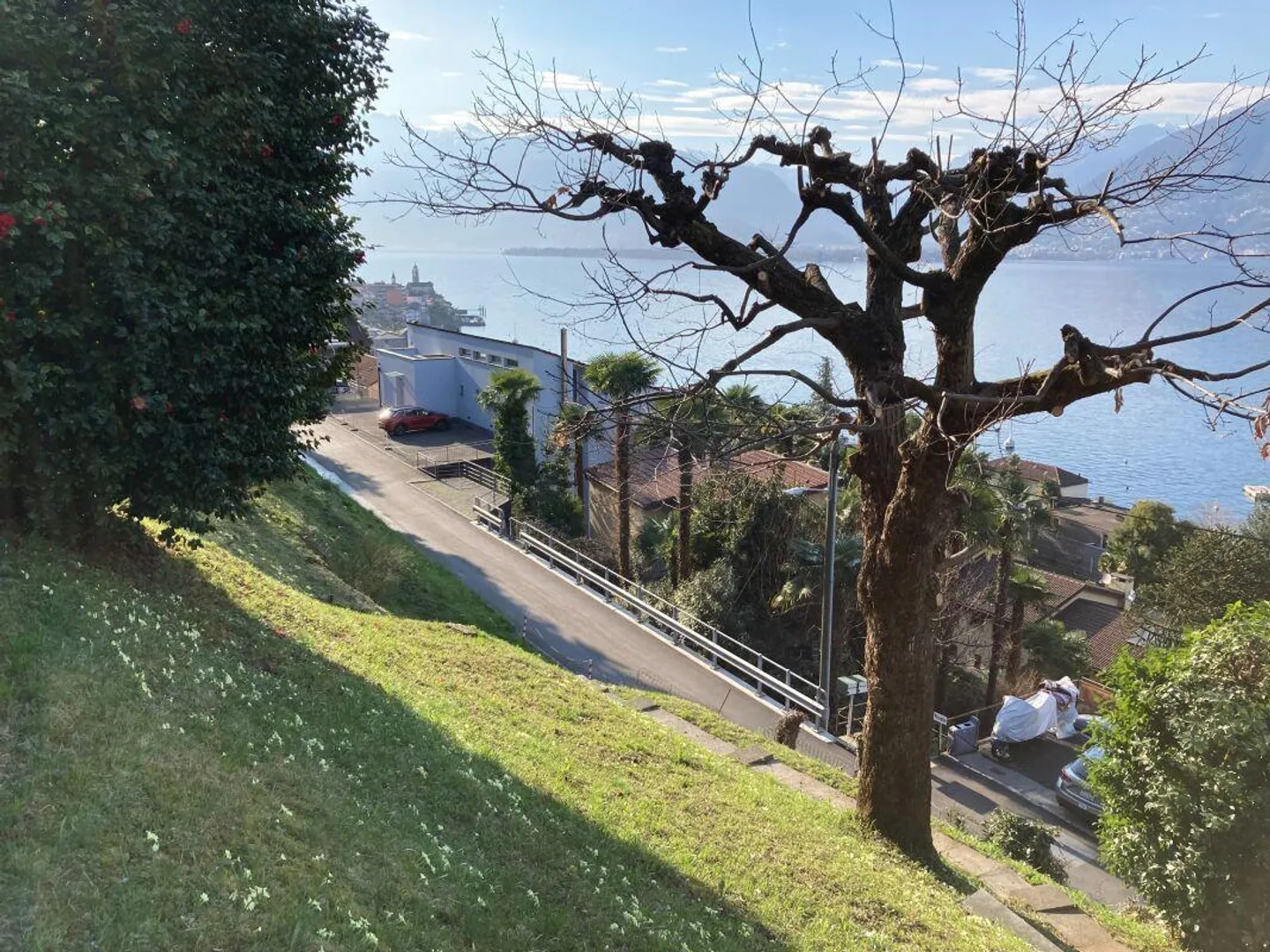 Building Plot in Magadino with Lake View - Photo 4 of 8