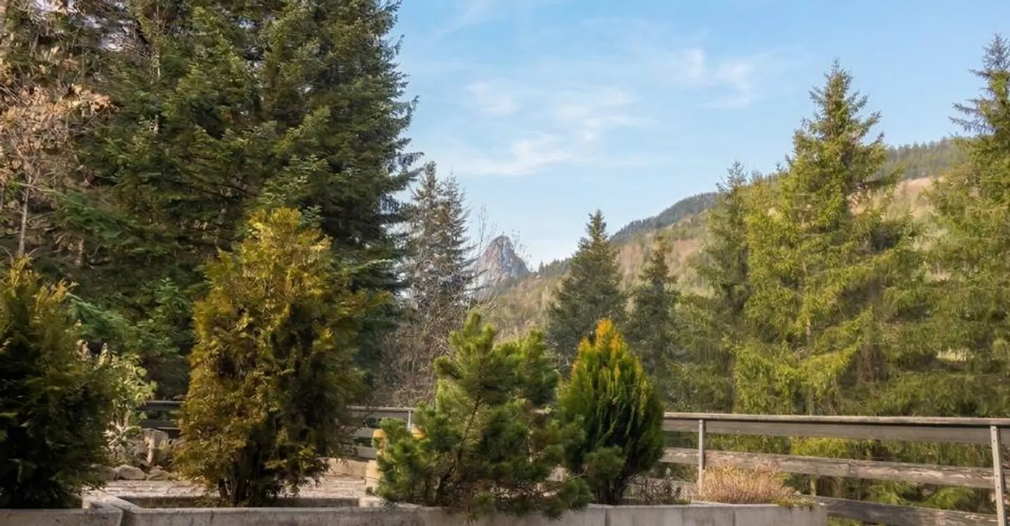 Charmantes Duplex in Torgon - Foto 6 von 8