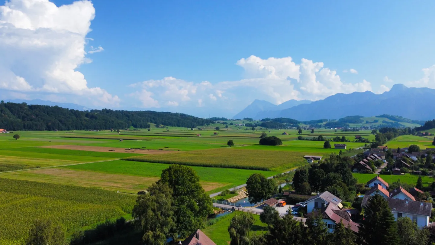 Progetto di nuova costruzione esclusivo al piano terra ovest - Foto 6 di 12