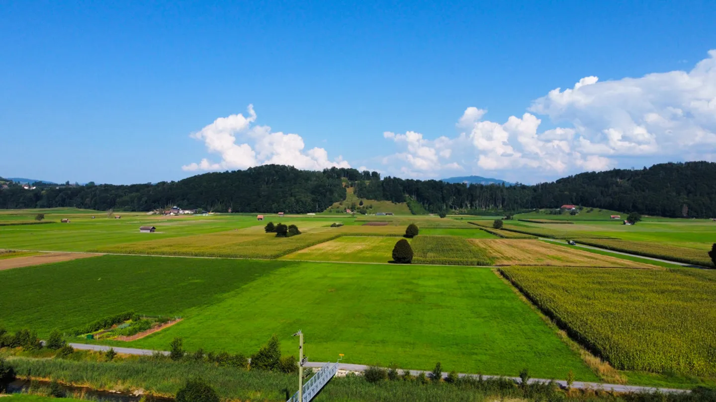 Progetto di nuova costruzione esclusivo al piano terra ovest - Foto 8 di 12