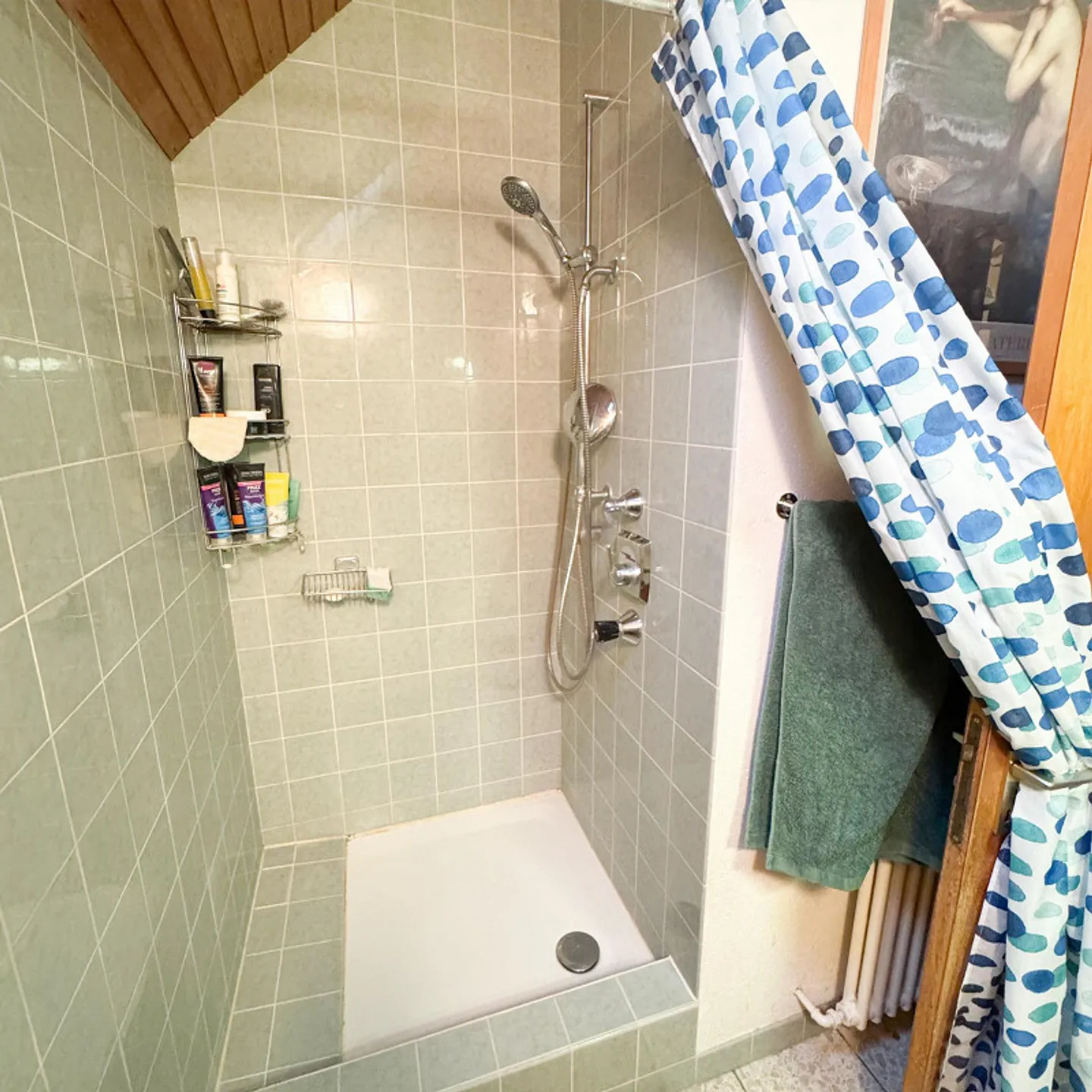 mit Panoramablick und Gartenparadies - Foto 15 von 17