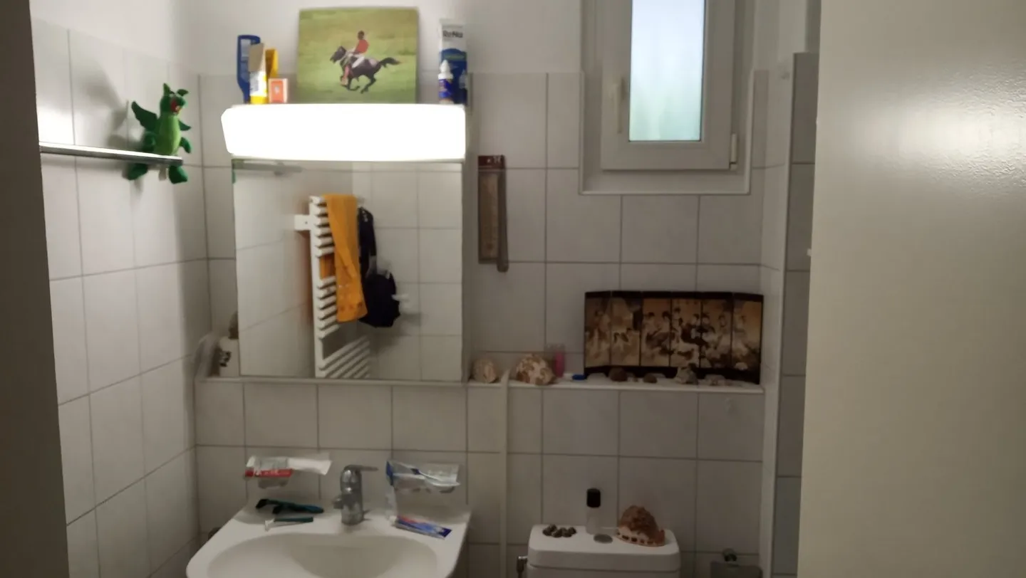 2 ZI-WOHNUNG IN STÄFA (ZH), MÖBLIERT, TEMPORÄR - Foto 6 von 6
