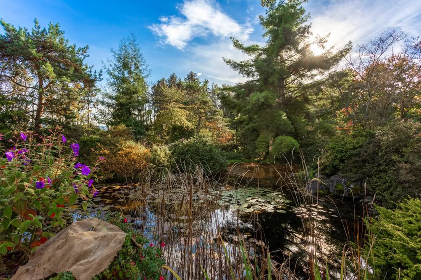 Hébergement charmant pour les amoureux de la nature - Photo 9 sur 14