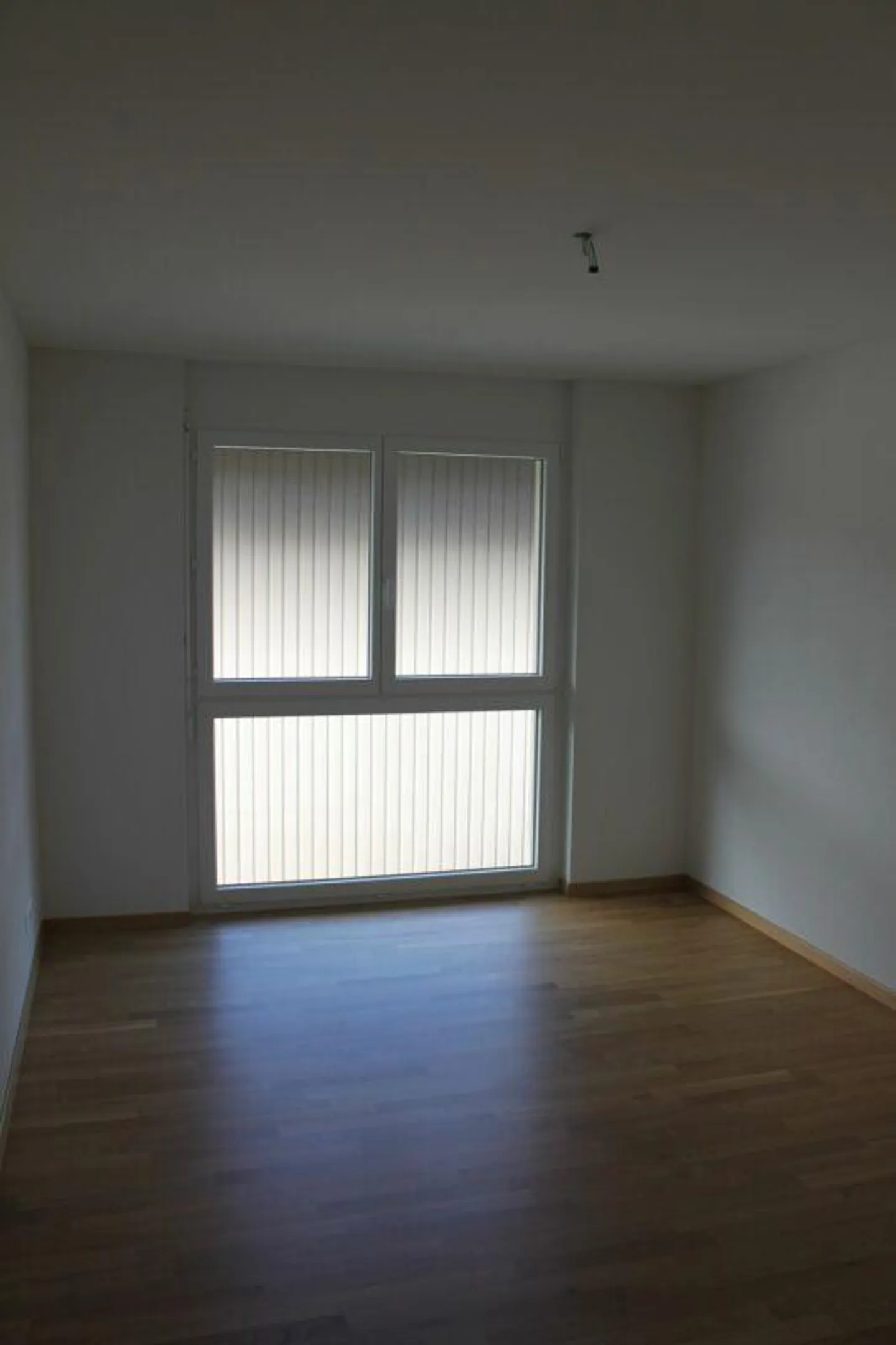 4.5-Zimmer-Wohnung im Parterre, ca. 100m2 - Foto 4 von 10
