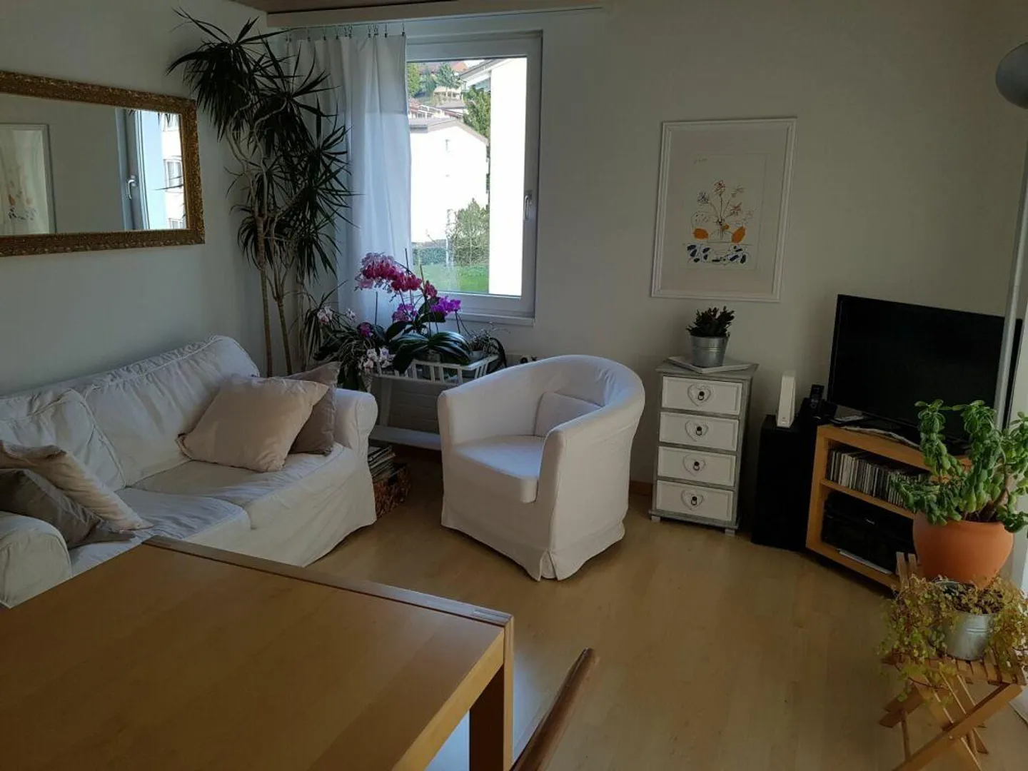 «Ein neues Zuhause  - on the top!» - Foto 3 von 7