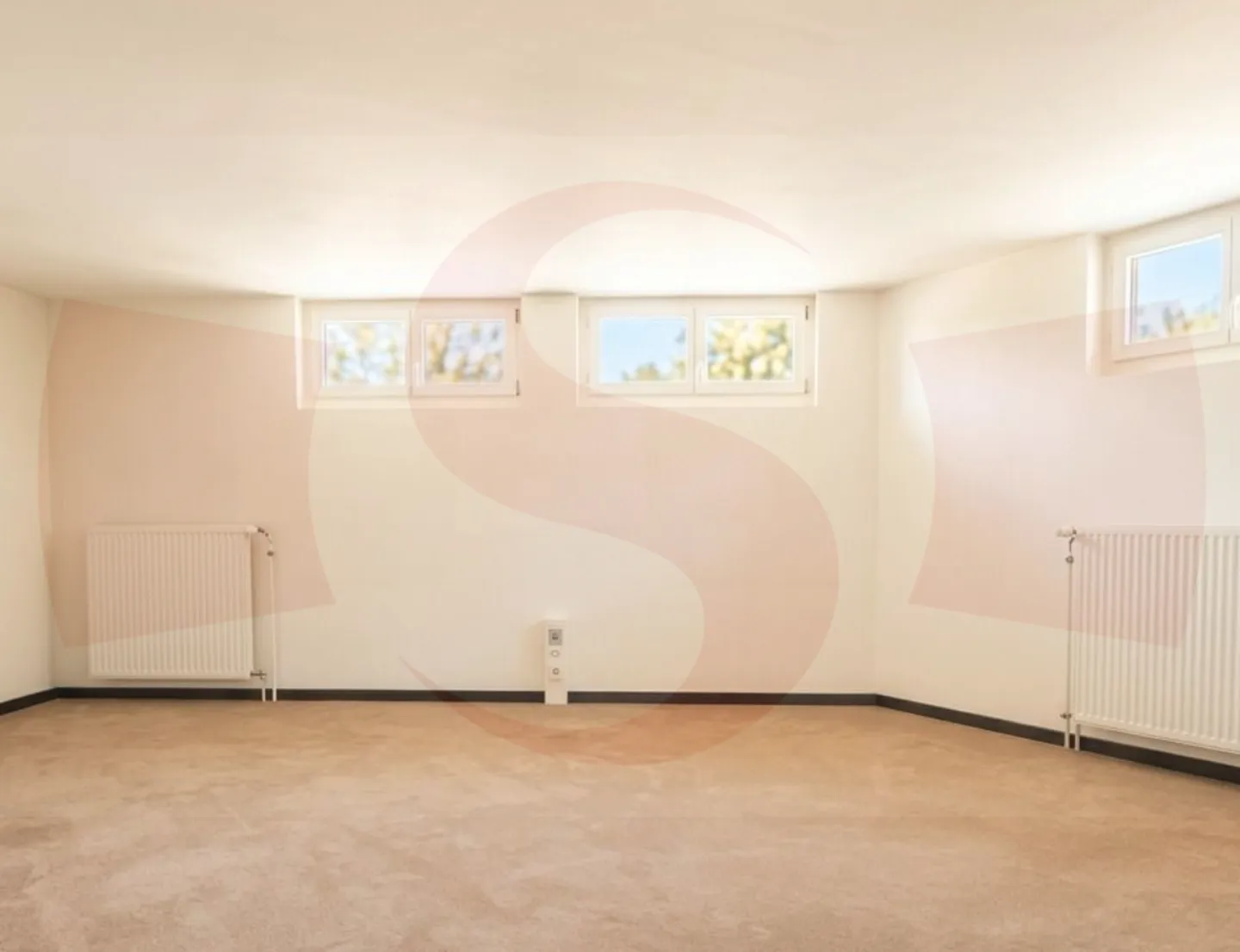 Unique Commercial Space in Vaud - Photo 2 of 6