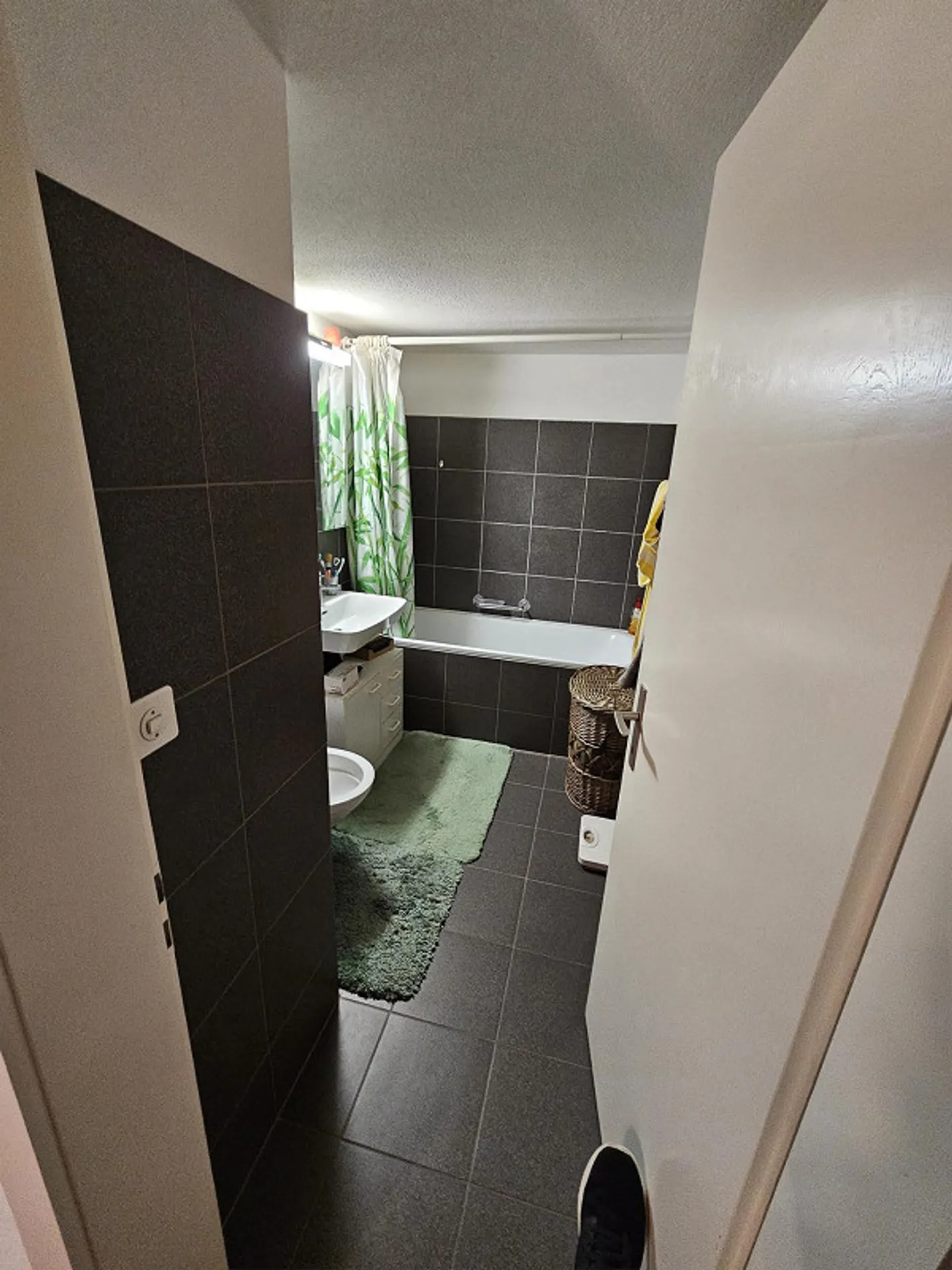 Beautiful, Cozy Apartment with Mountain View for Rent 🏡 - Photo 3 of 5