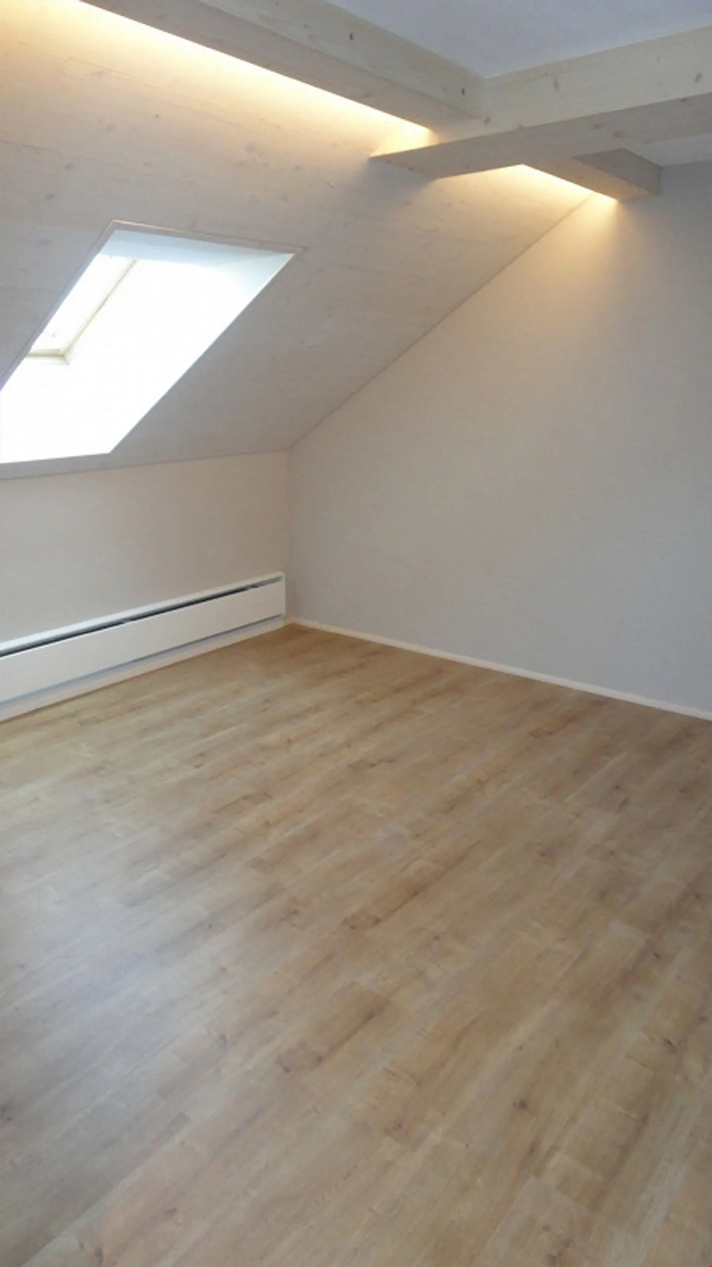 Appartamento 2 locali con vista mozzafiato sulla Linthebene in affitto - Foto 5 di 8