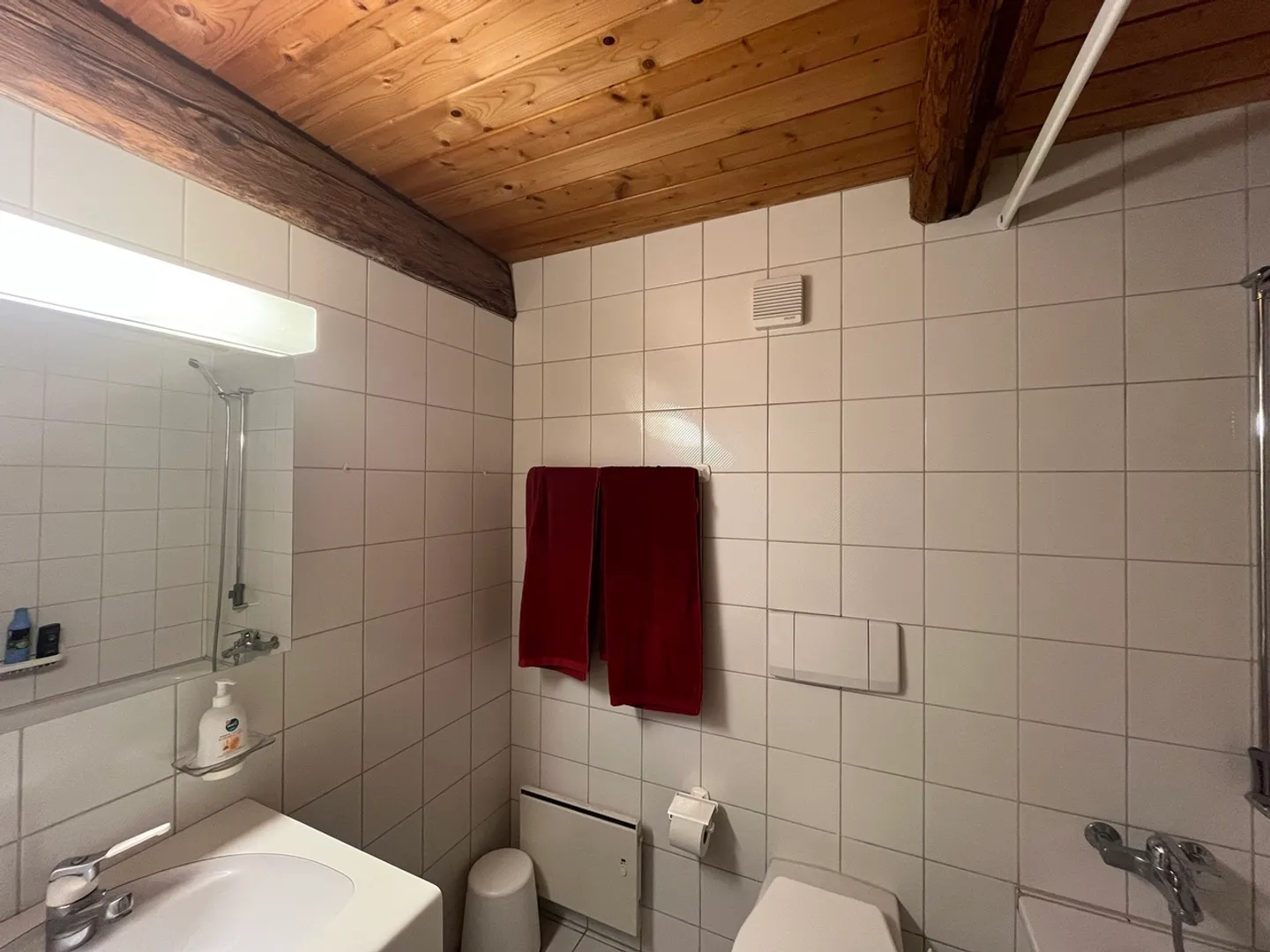 Appartamento con molto fascino - Foto 5 di 7