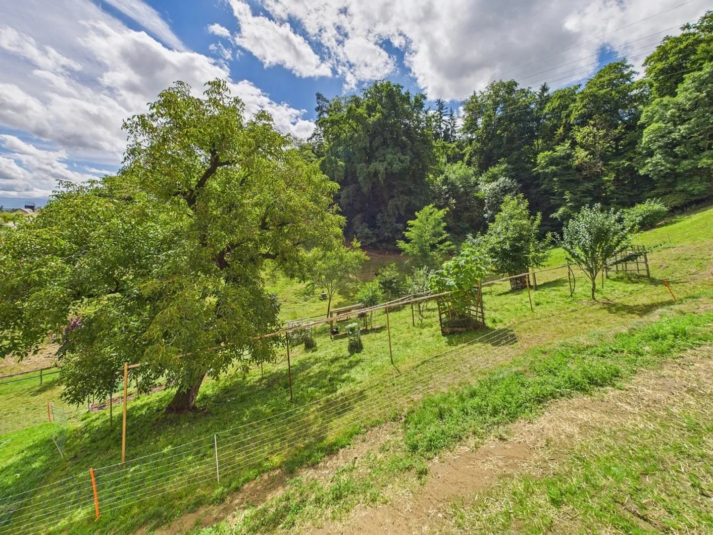 Magnifico appartamento di design nuovo di 4,5 locali a Courtepin - Foto 2 di 13