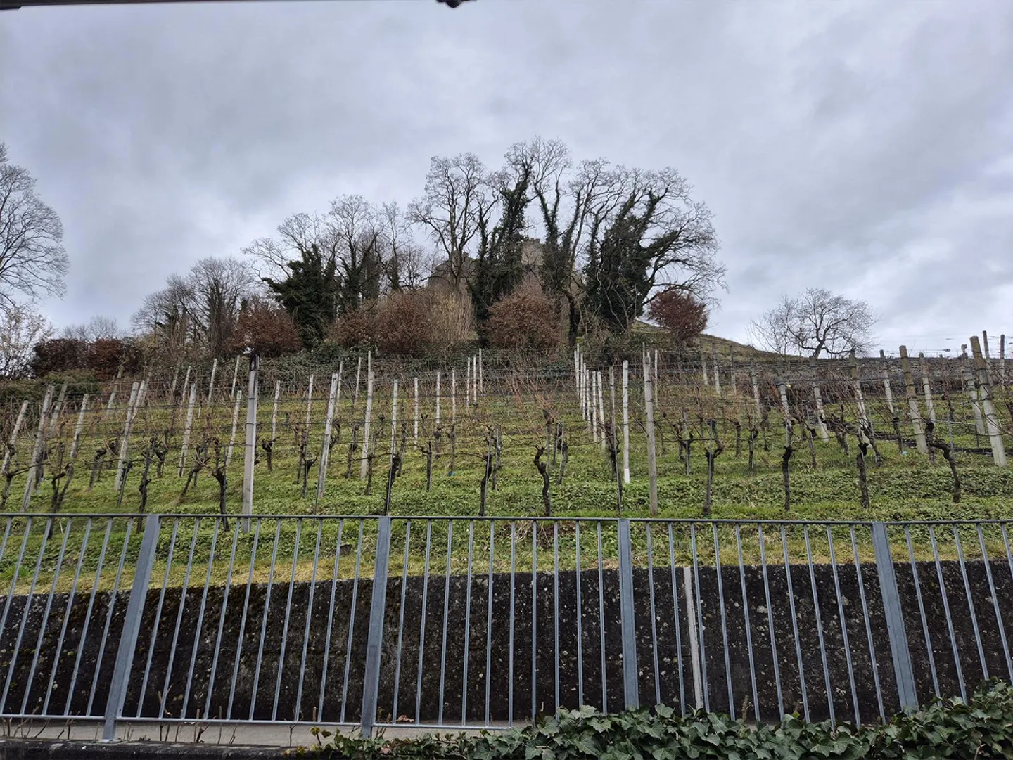 Opportunità unica ai piedi dello Schlossberg - Foto 6 di 6