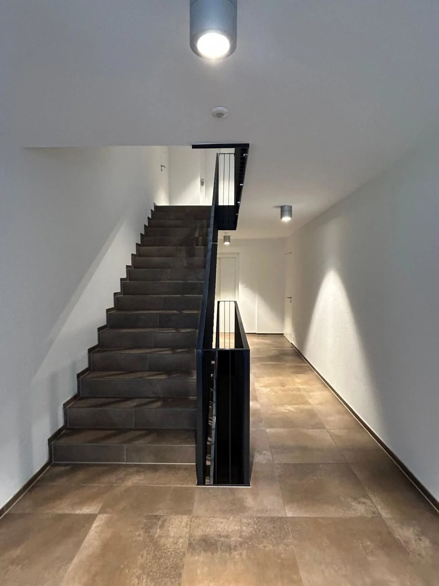 Une situation élevée au-dessus d'Au - Photo 4 sur 13