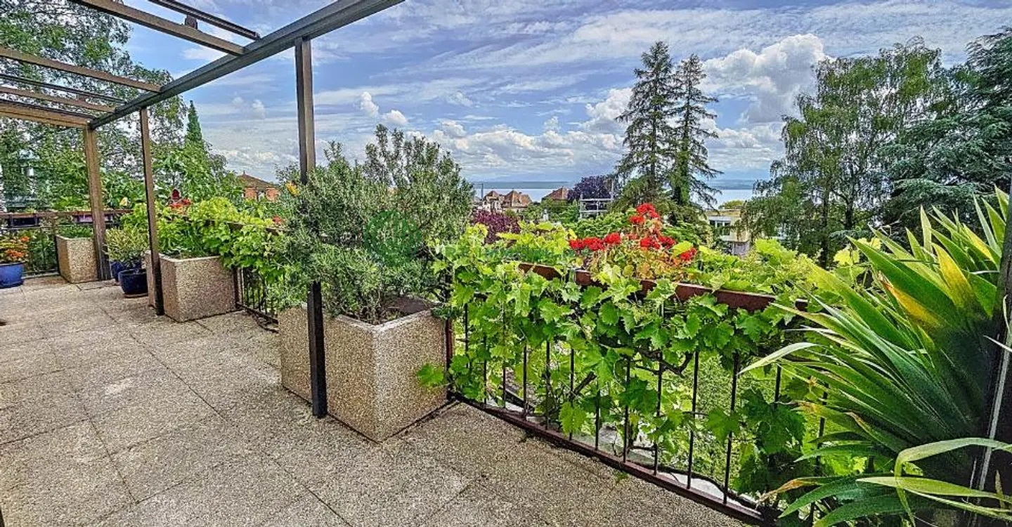 Charming Multi-Family Home - Photo 13 of 17