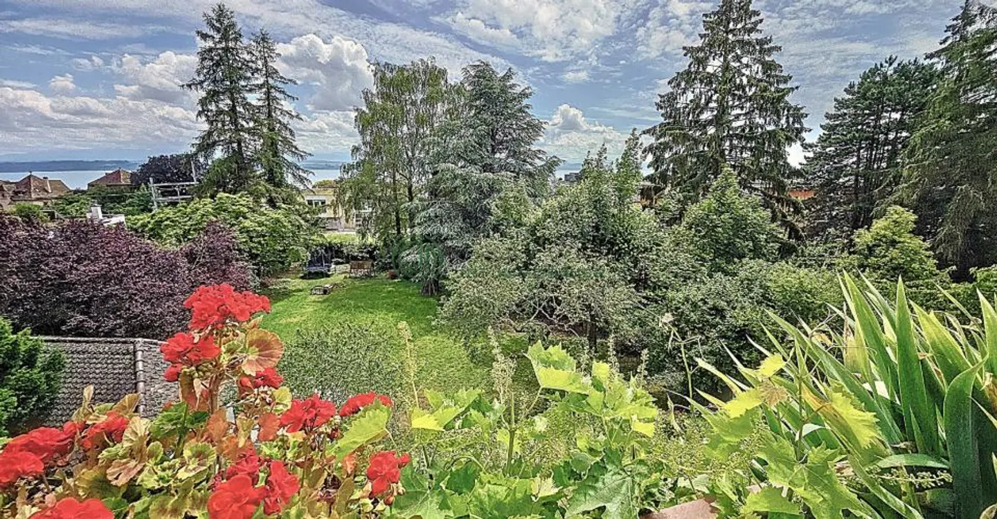 Charming Multi-Family Home - Photo 16 of 17