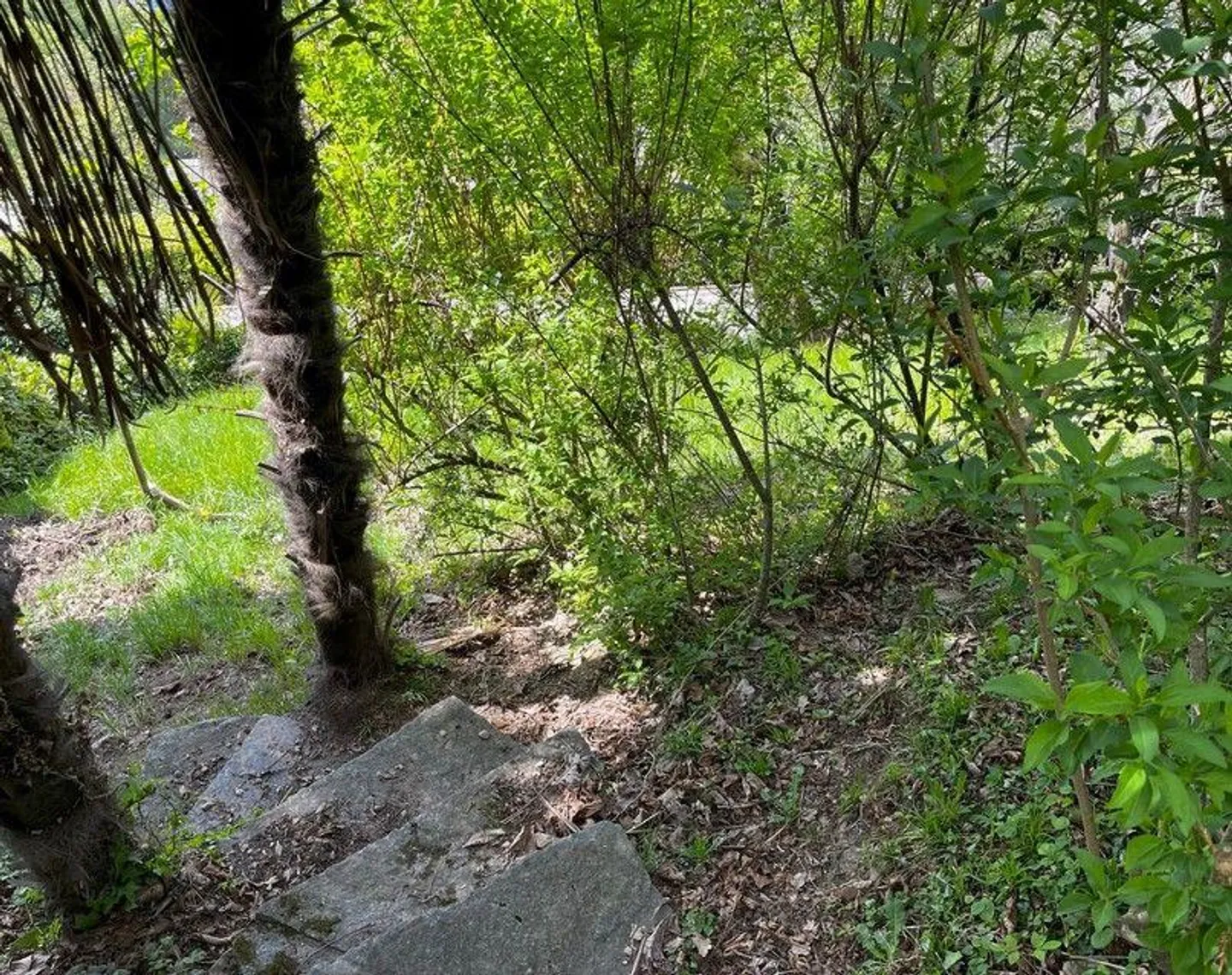 Single house for sale - Photo 5 of 13