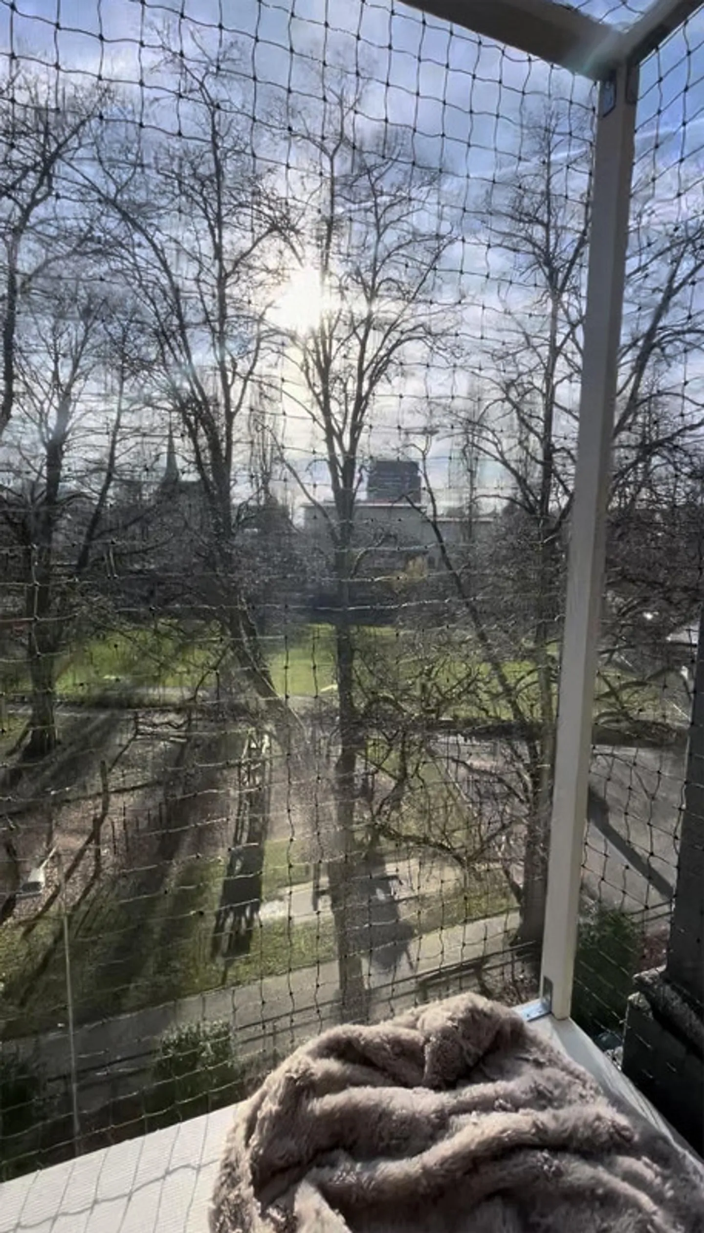 Appartamento d'epoca luminoso, 3.5 stanze, St.Fiden al Schlösslipark - Foto 6 di 21