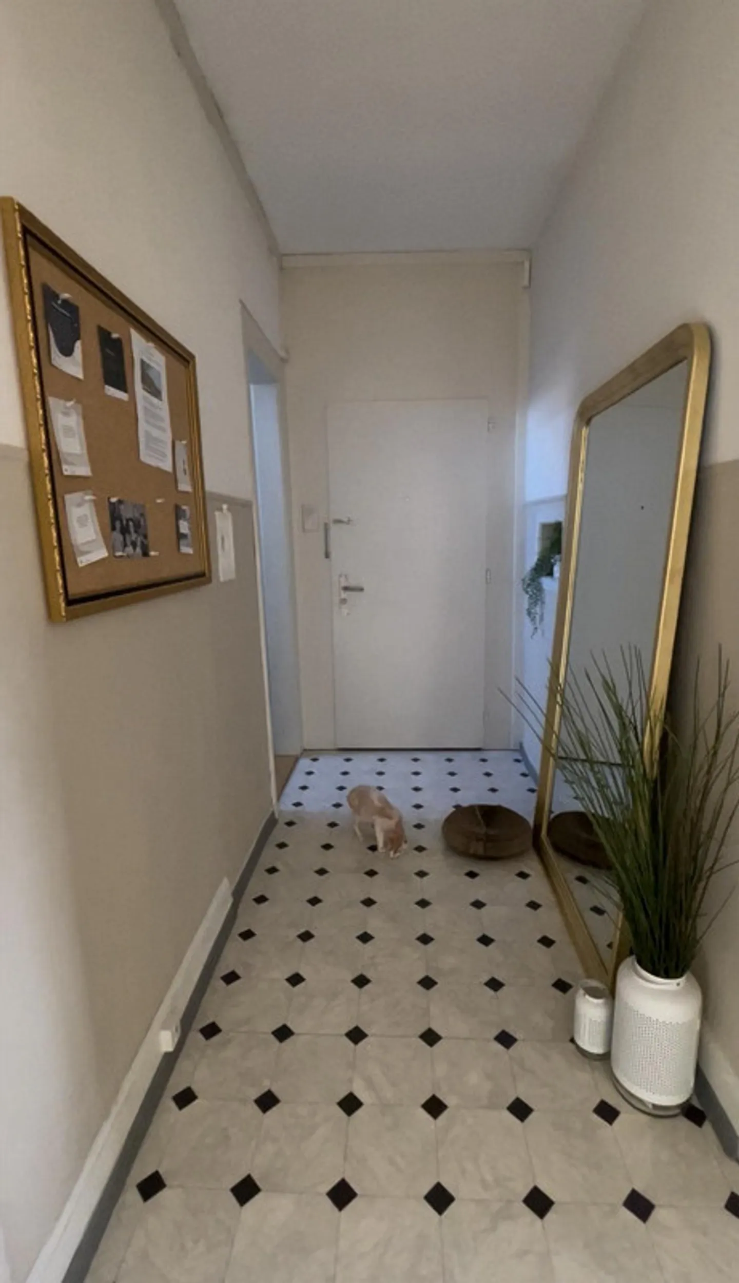 Appartamento d'epoca luminoso, 3.5 stanze, St.Fiden al Schlösslipark - Foto 9 di 21