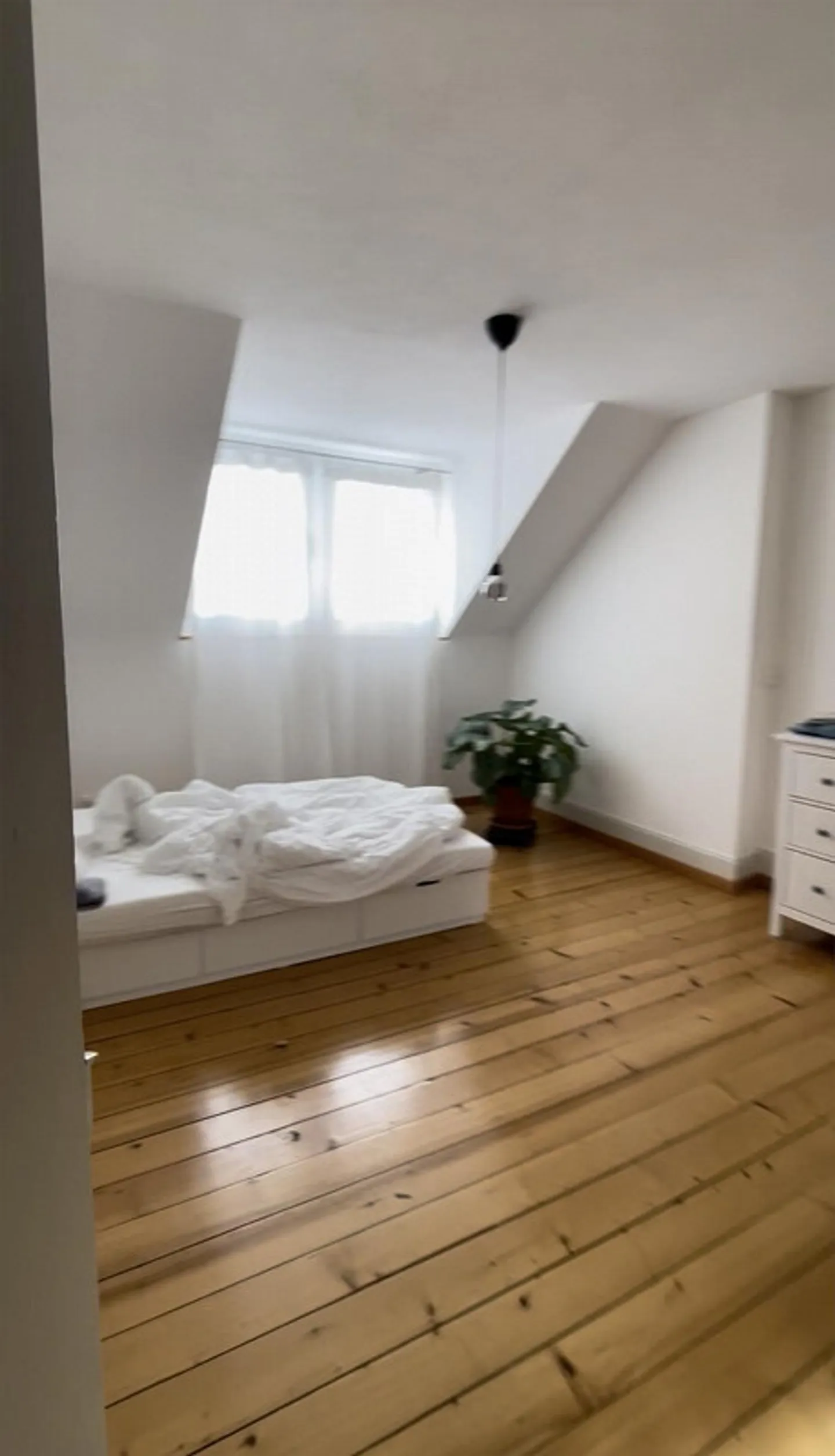 Appartamento d'epoca luminoso, 3.5 stanze, St.Fiden al Schlösslipark - Foto 15 di 21