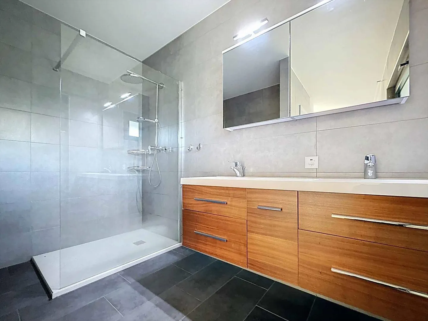 Stupenda vista senza ostacoli sulle Alpi e sul jet d'eau di Ginevra - Foto 8 di 13