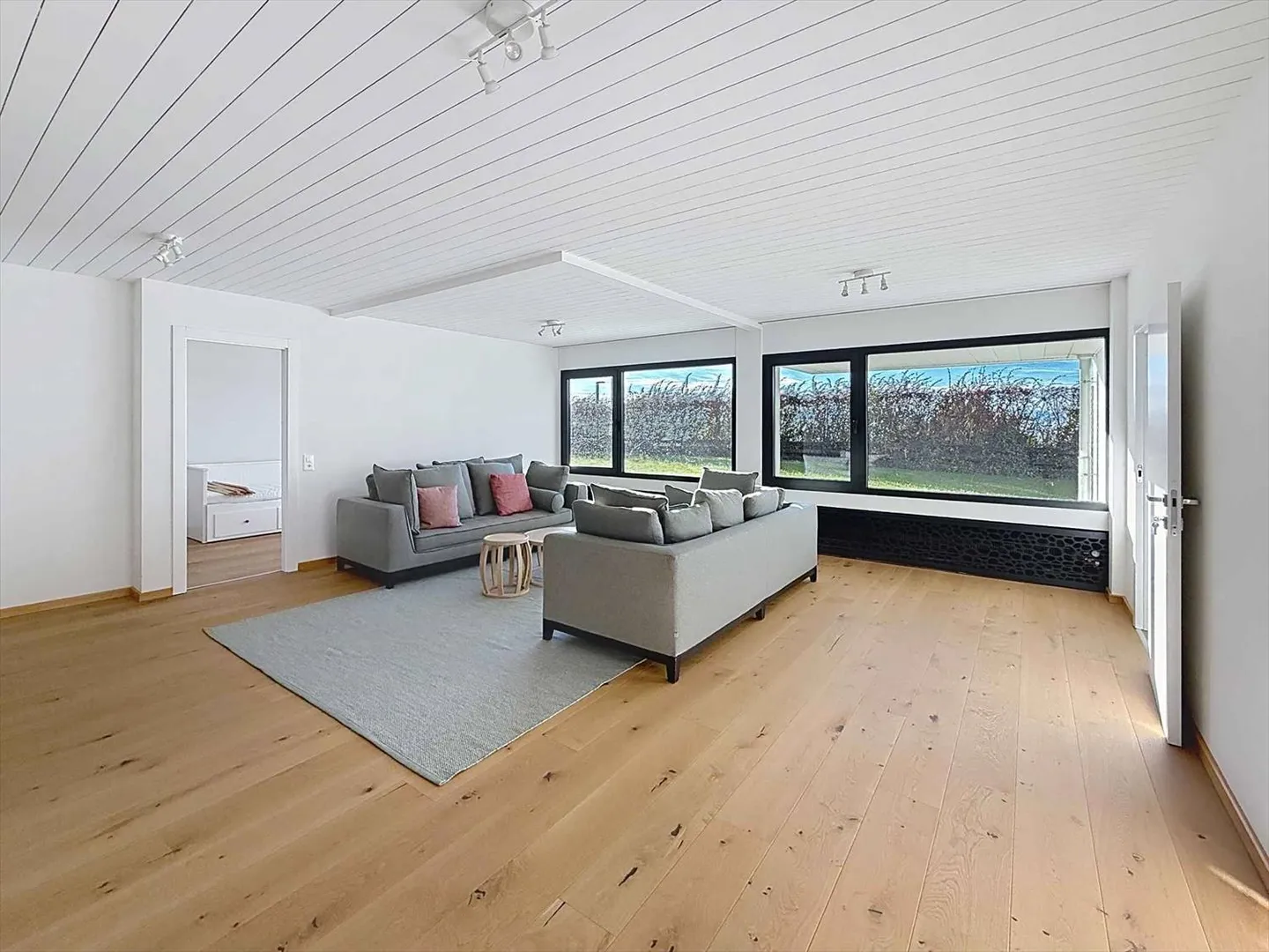 Stupenda vista senza ostacoli sulle Alpi e sul jet d'eau di Ginevra - Foto 11 di 13