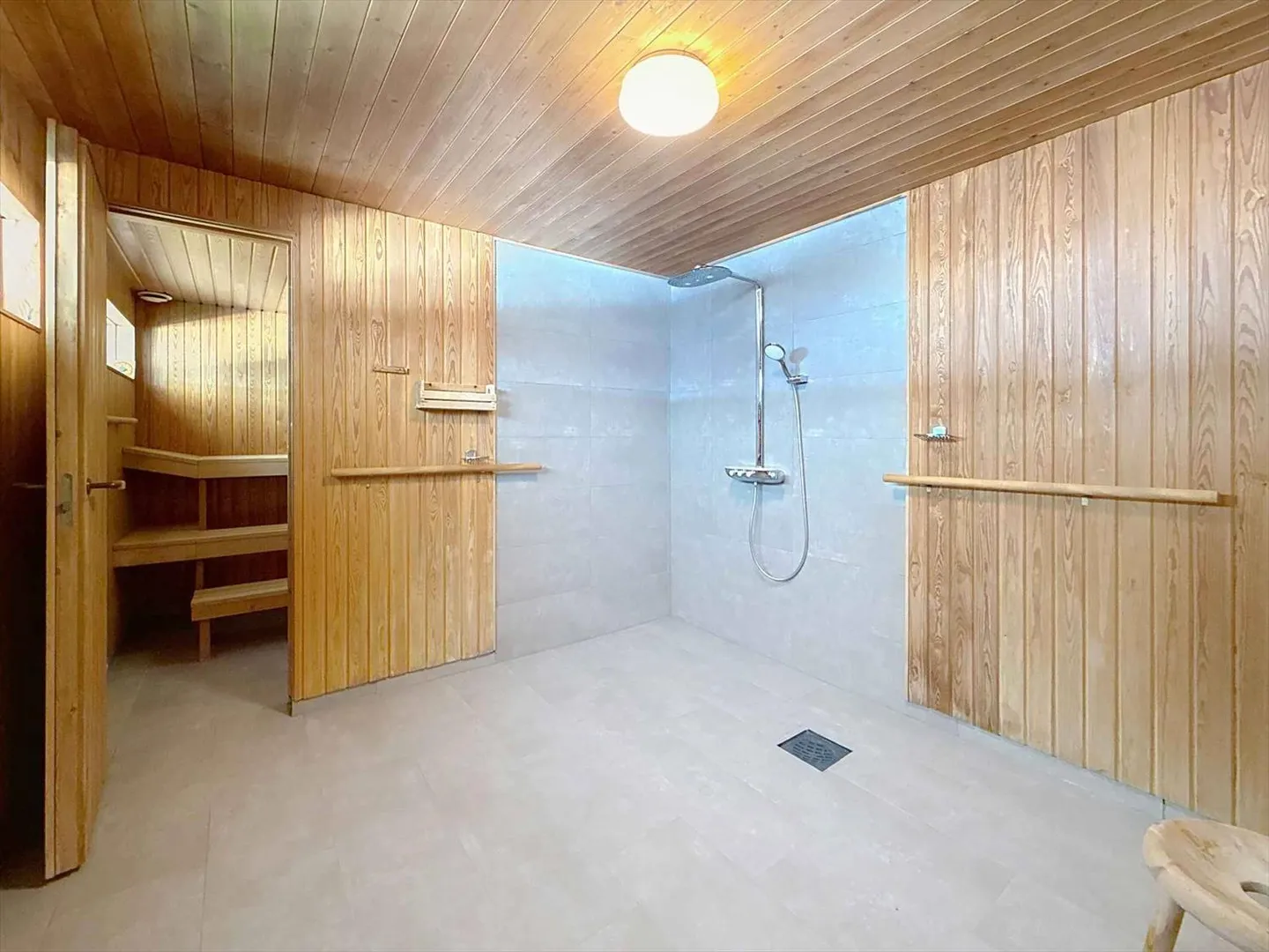 Stupenda vista senza ostacoli sulle Alpi e sul jet d'eau di Ginevra - Foto 13 di 13