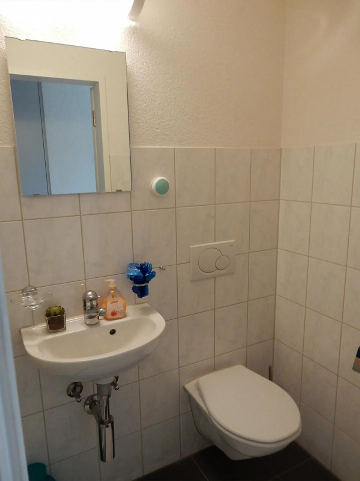 Appartamento di 4,5 locali a Schaffhausen - Foto 7 di 10
