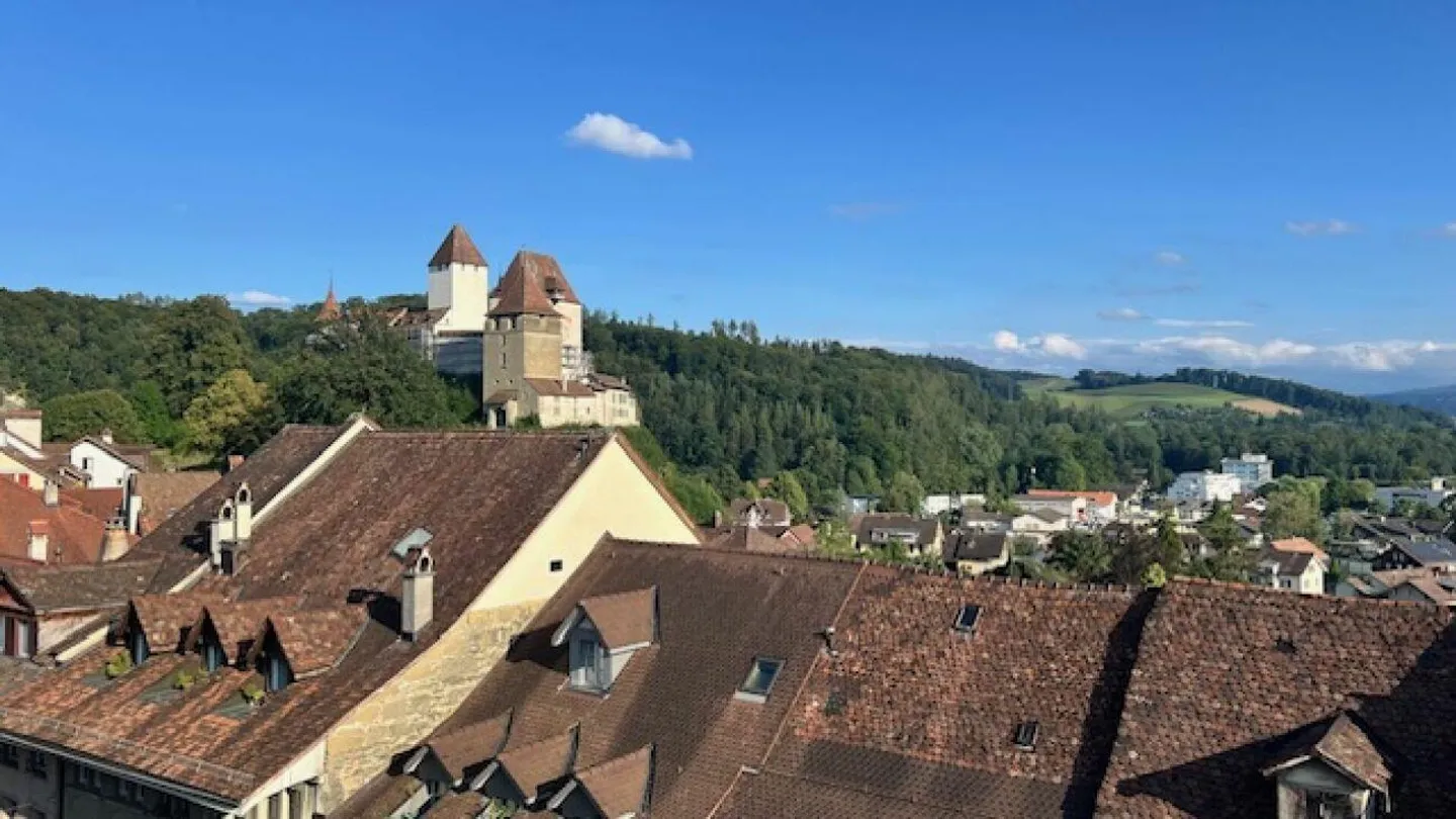 Charmante Wohnung in Oberstadt - Foto 10 von 11