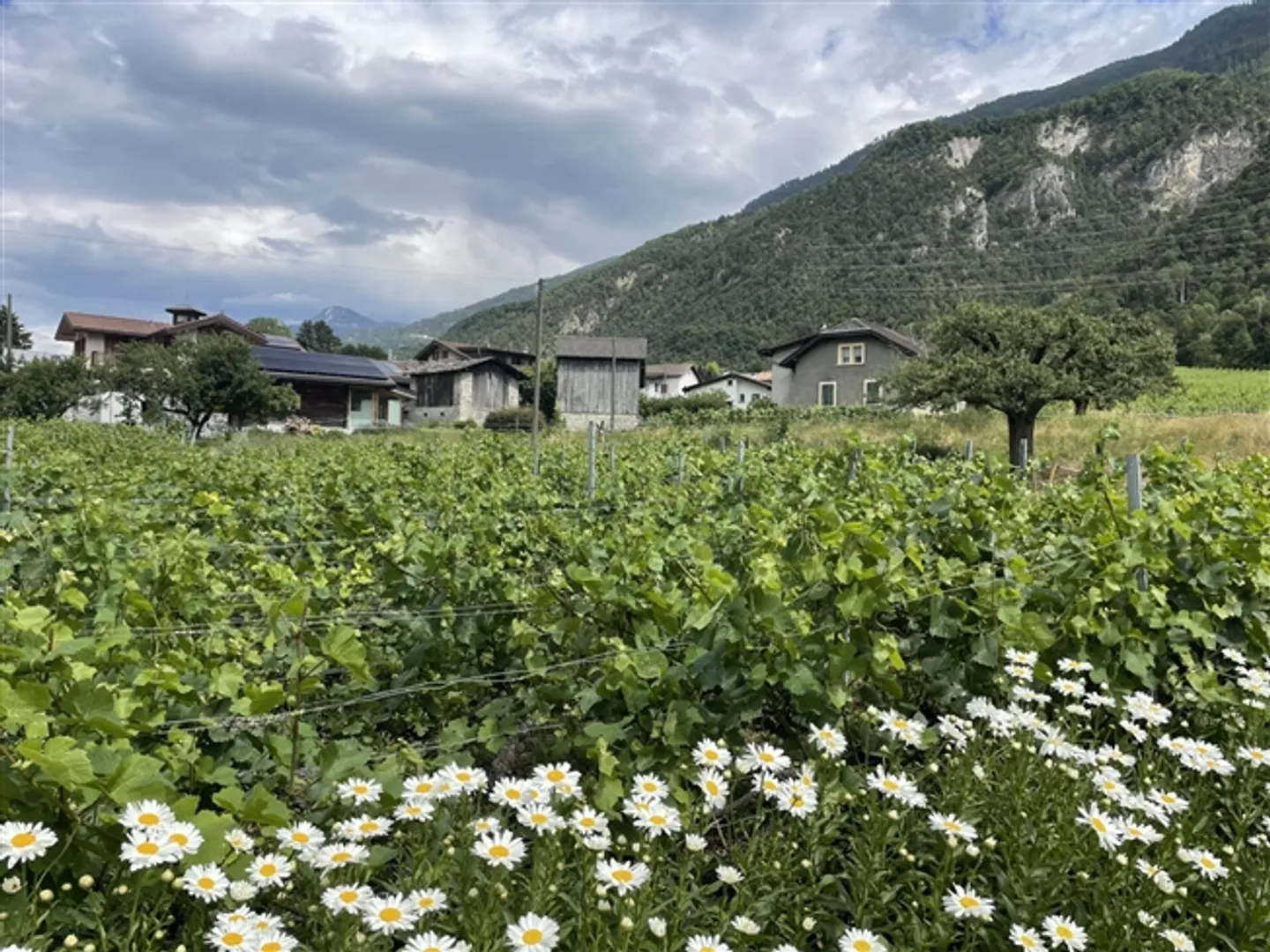 Holiday apartment with garden available immediately - Photo 3 of 12