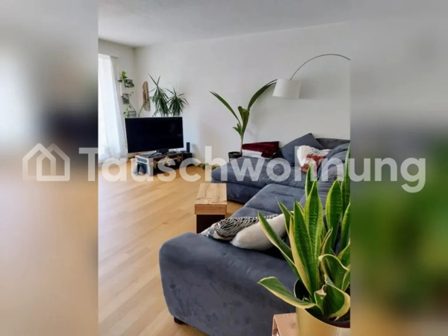 Appartamento luminoso 2,5 (Albisrieden) contro min. 3,5 max 3200CHF - Foto 1 di 1