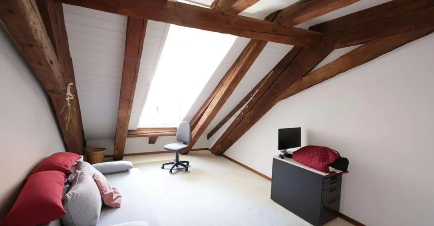 Spacious 4-room apartment on the top floor of a historic building - Photo 10 of 12