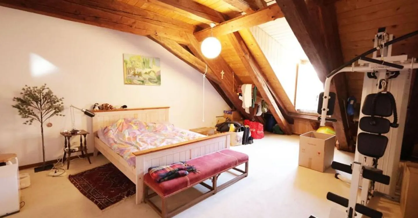 Spacious 4-room apartment on the top floor of a historic building - Photo 12 of 12