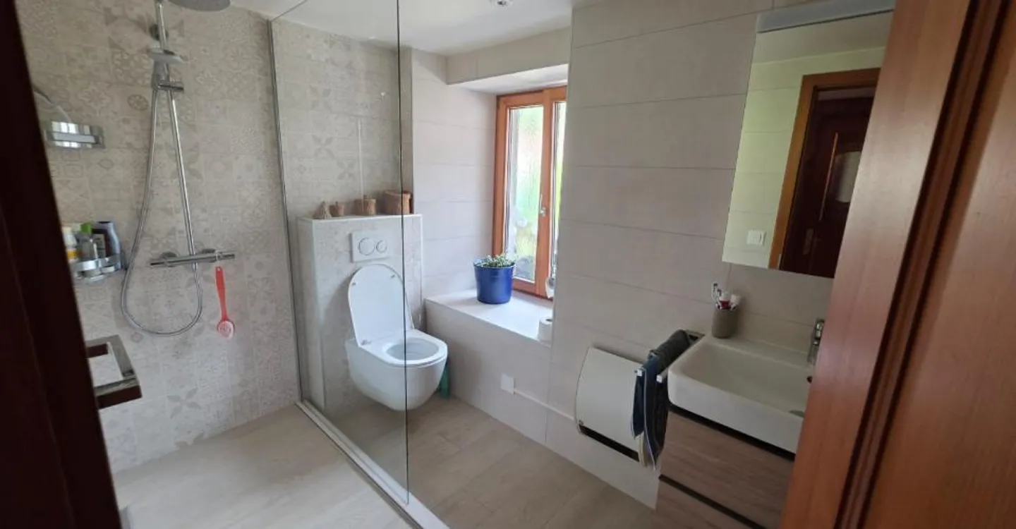 Charmantes Haus mit 2 Wohnungen in Albeuve - Foto 10 von 18