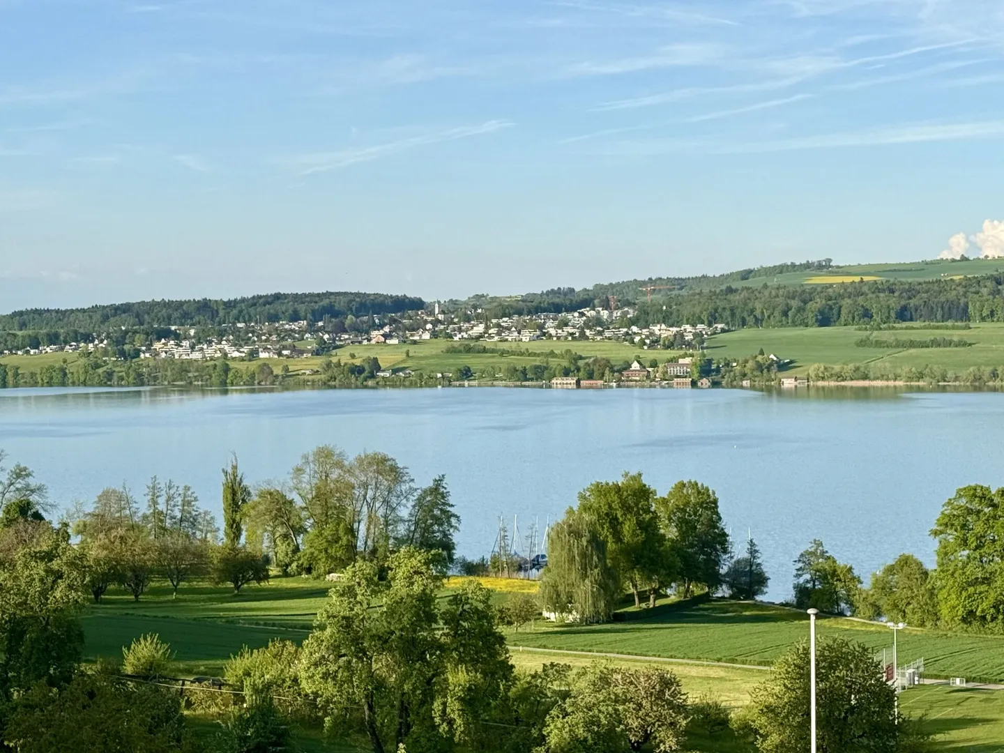 Proprietà in posizione da sogno con vista da sogno sul lago Hallwil, vista lago non ostacolata! - Foto 12 di 12