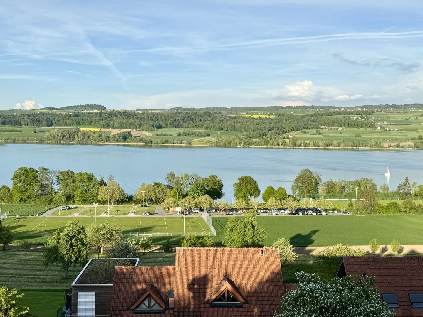 Proprietà in posizione da sogno con vista da sogno sul lago Hallwil, vista lago non ostacolata! - Foto 11 di 12