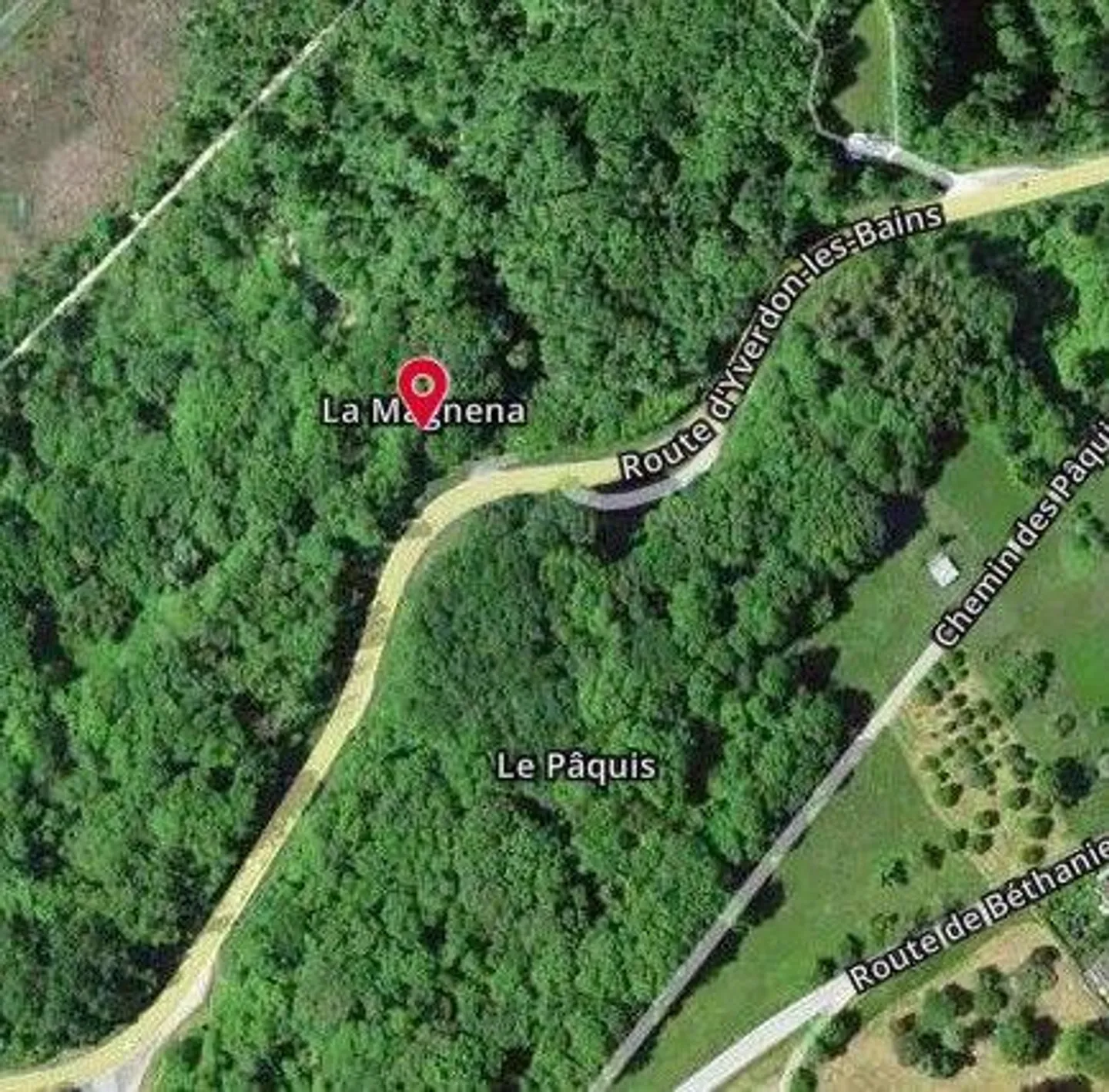 Due parcelle di foresta fitta con rocce - Foto 2 di 13