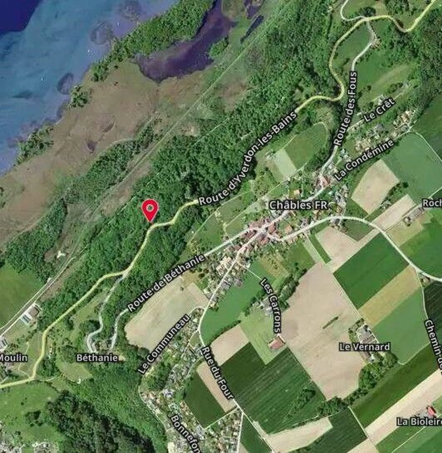 Due parcelle di foresta fitta con rocce - Foto 3 di 13