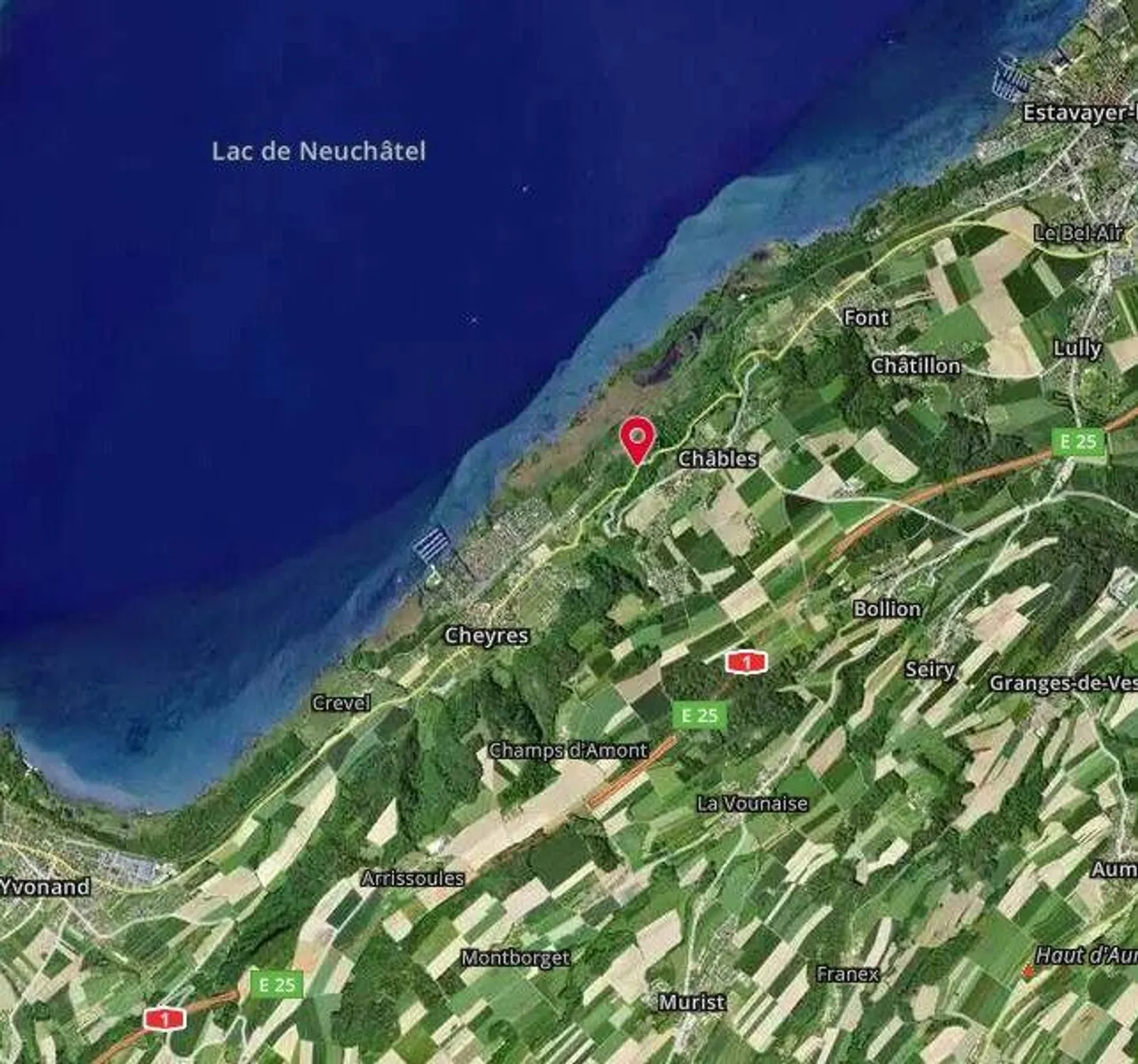 Due parcelle di foresta fitta con rocce - Foto 4 di 13