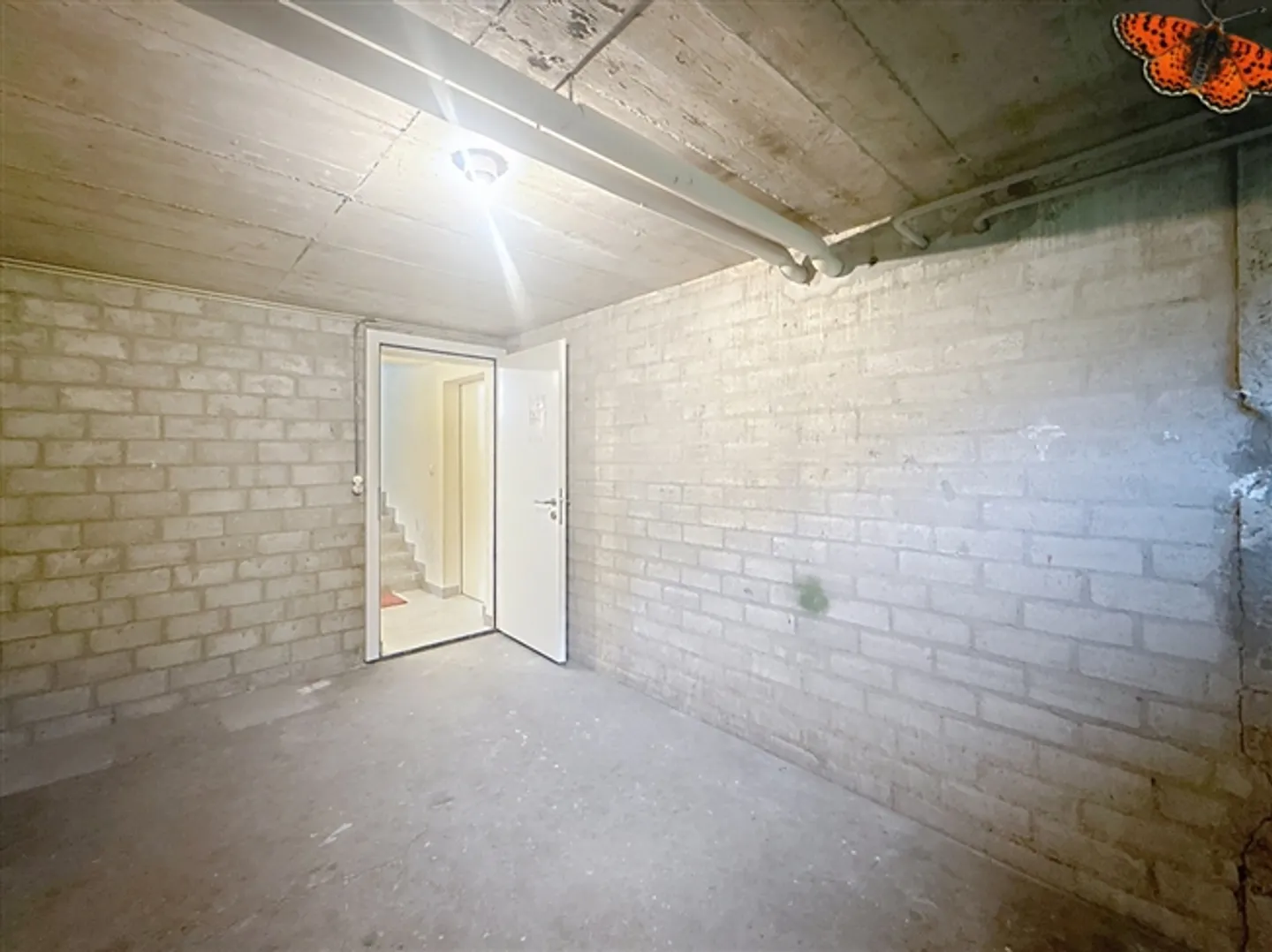 Deposito - Foto 4 di 7