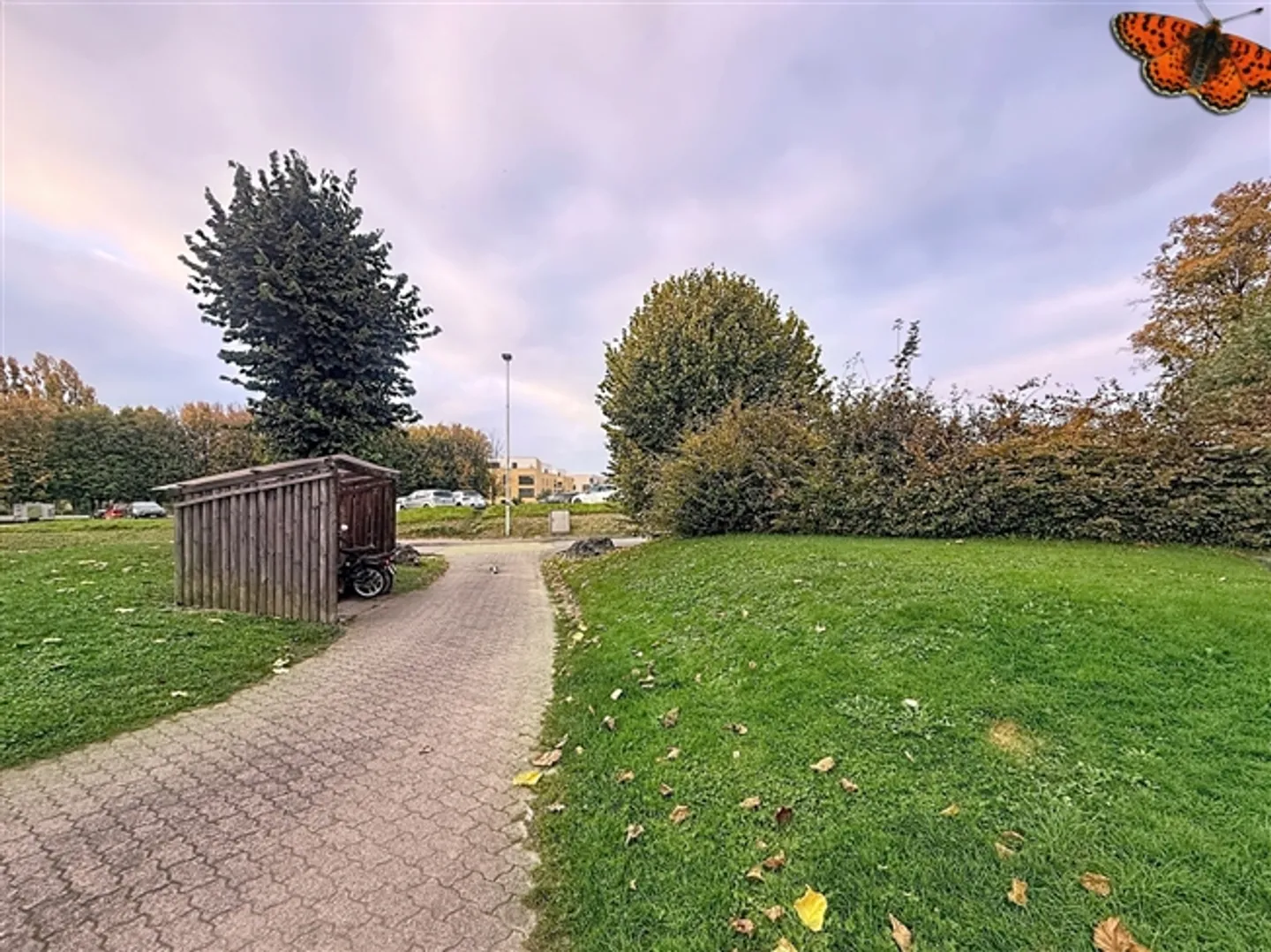 Deposito - Foto 7 di 7