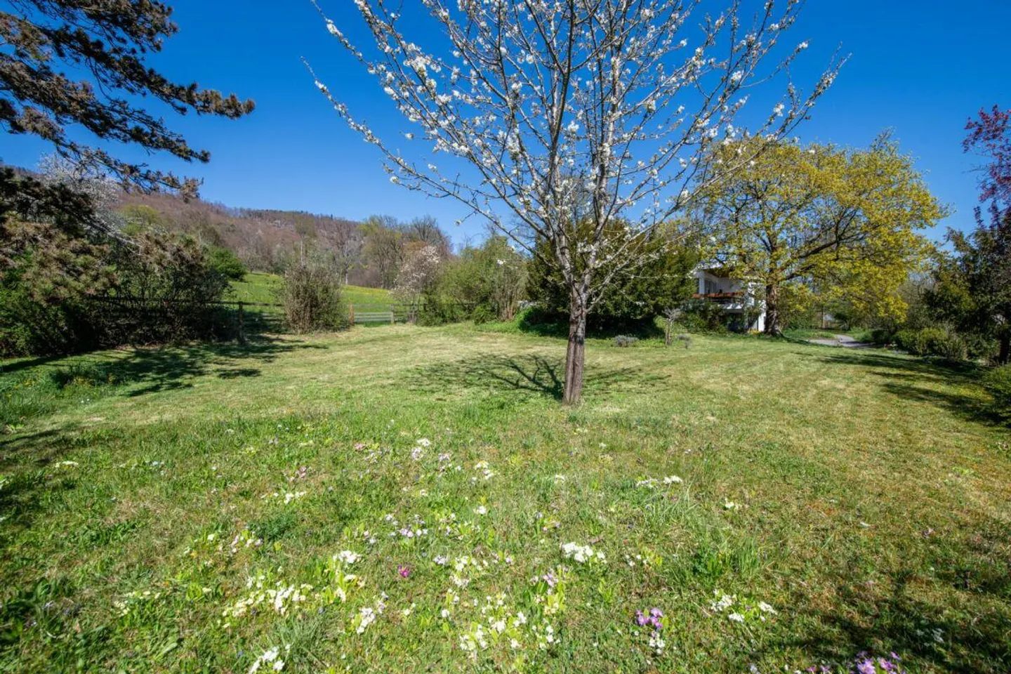 Vista Panoramica, terreno di 1'795 m² e casa unifamiliare di 7,5 stanze con potenziale straordinario - Foto 18 di 26
