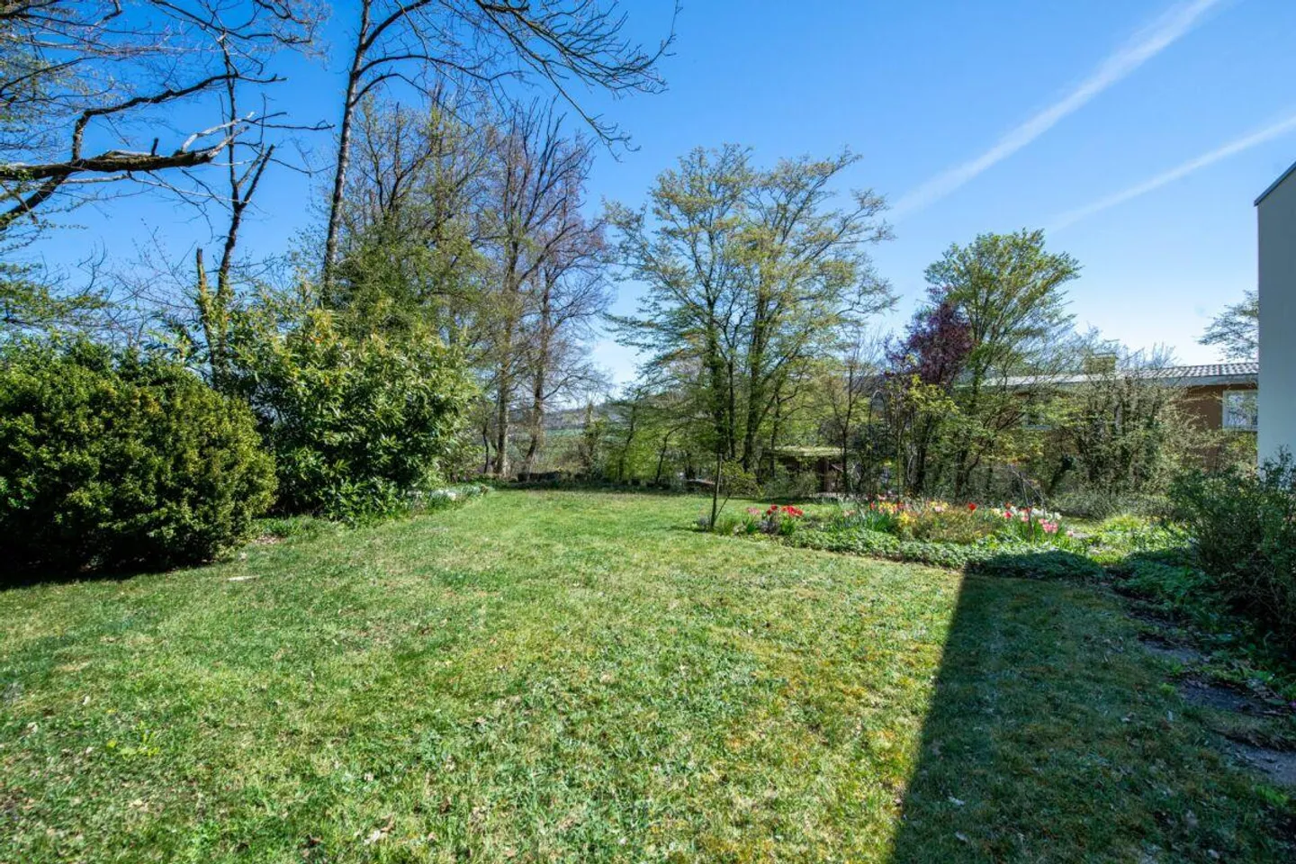 Vista Panoramica, terreno di 1'795 m² e casa unifamiliare di 7,5 stanze con potenziale straordinario - Foto 20 di 26