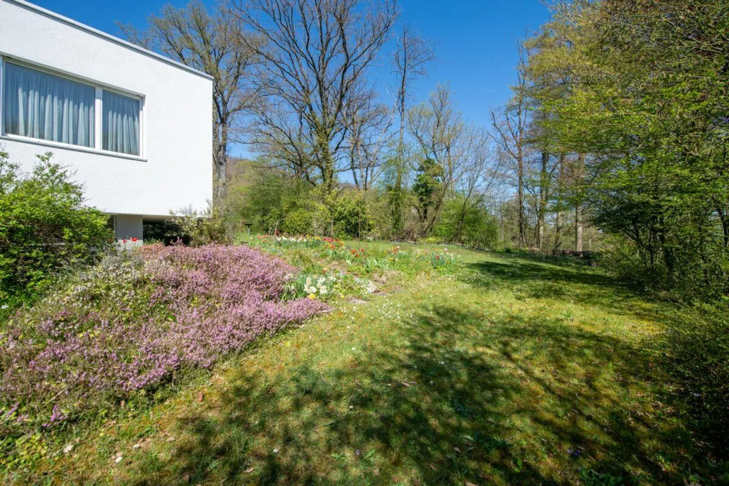 Vista Panoramica, terreno di 1'795 m² e casa unifamiliare di 7,5 stanze con potenziale straordinario - Foto 23 di 26