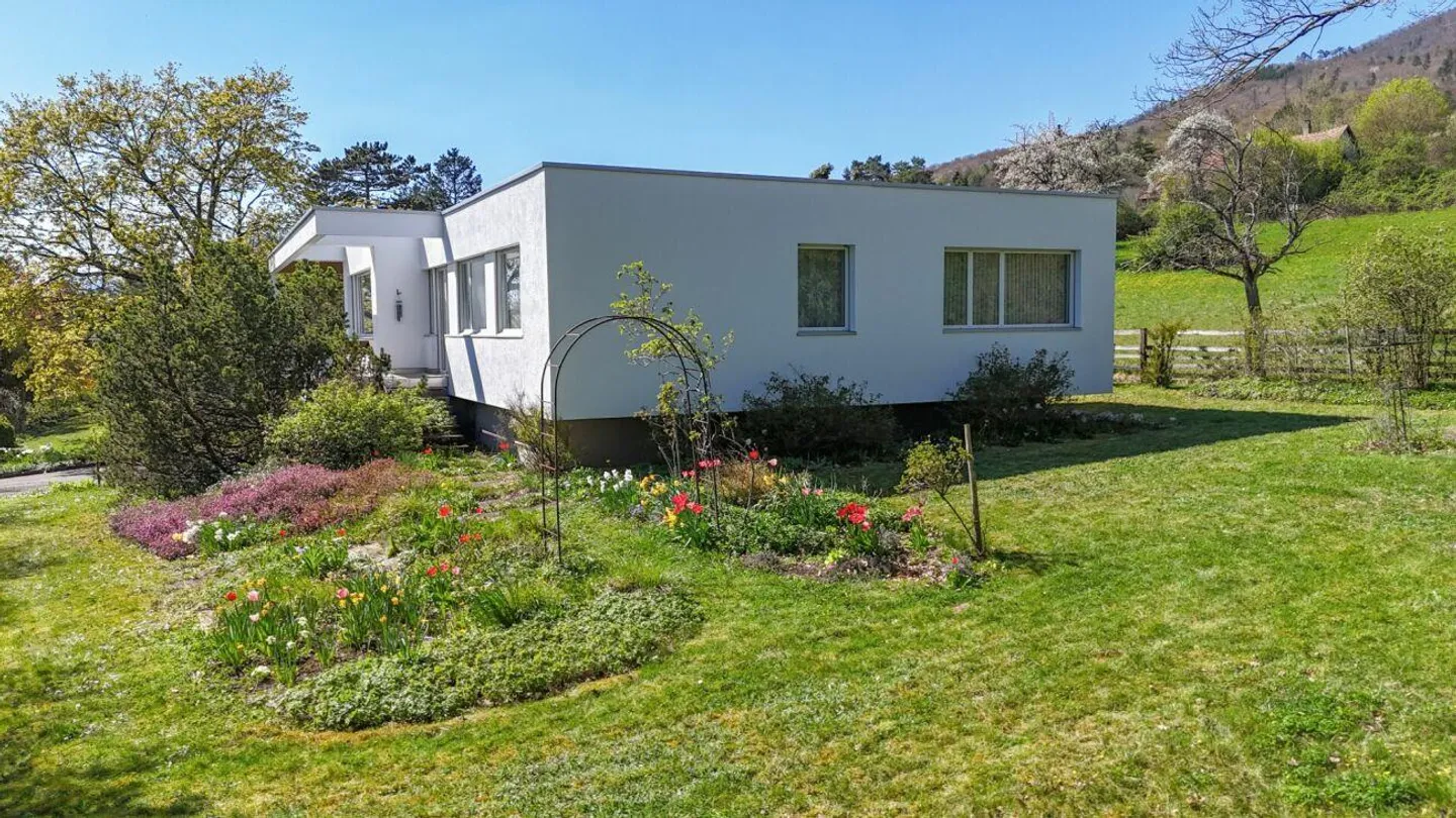 Vista Panoramica, terreno di 1'795 m² e casa unifamiliare di 7,5 stanze con potenziale straordinario - Foto 24 di 26