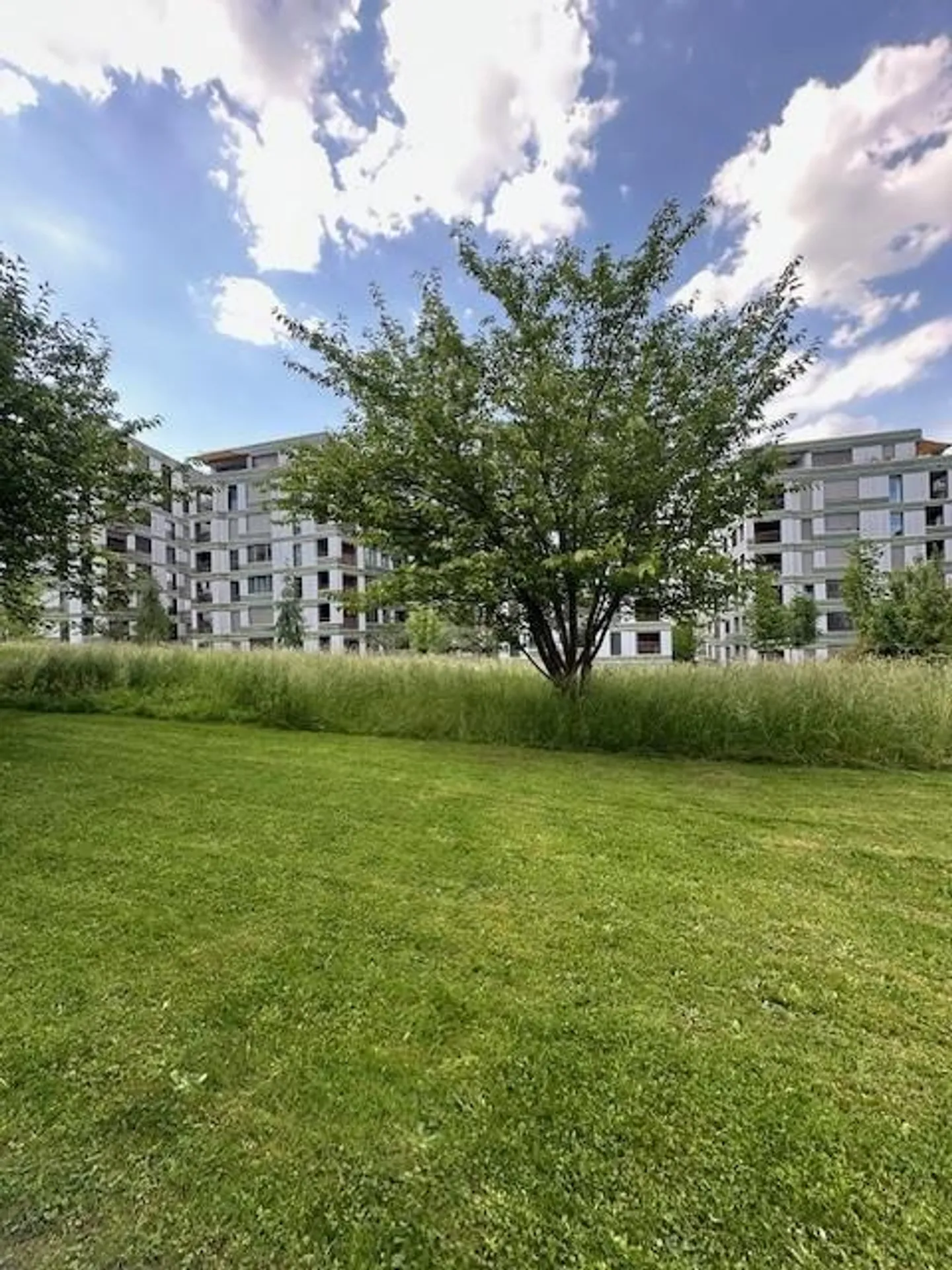 Appartement 3.5 pièces récemment rénové à Zurich - Photo 12 sur 13