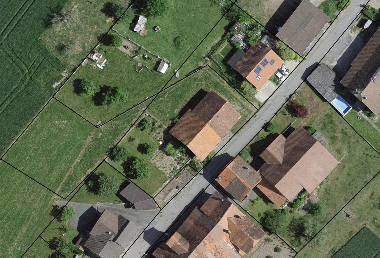 Fattoria - Foto 5 di 5