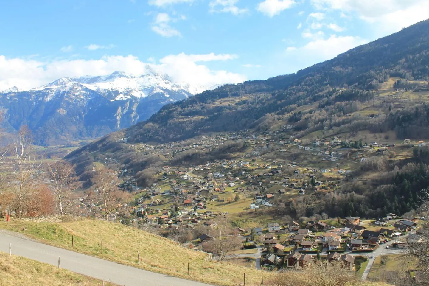 Terreno in Vendita - Foto 3 di 3