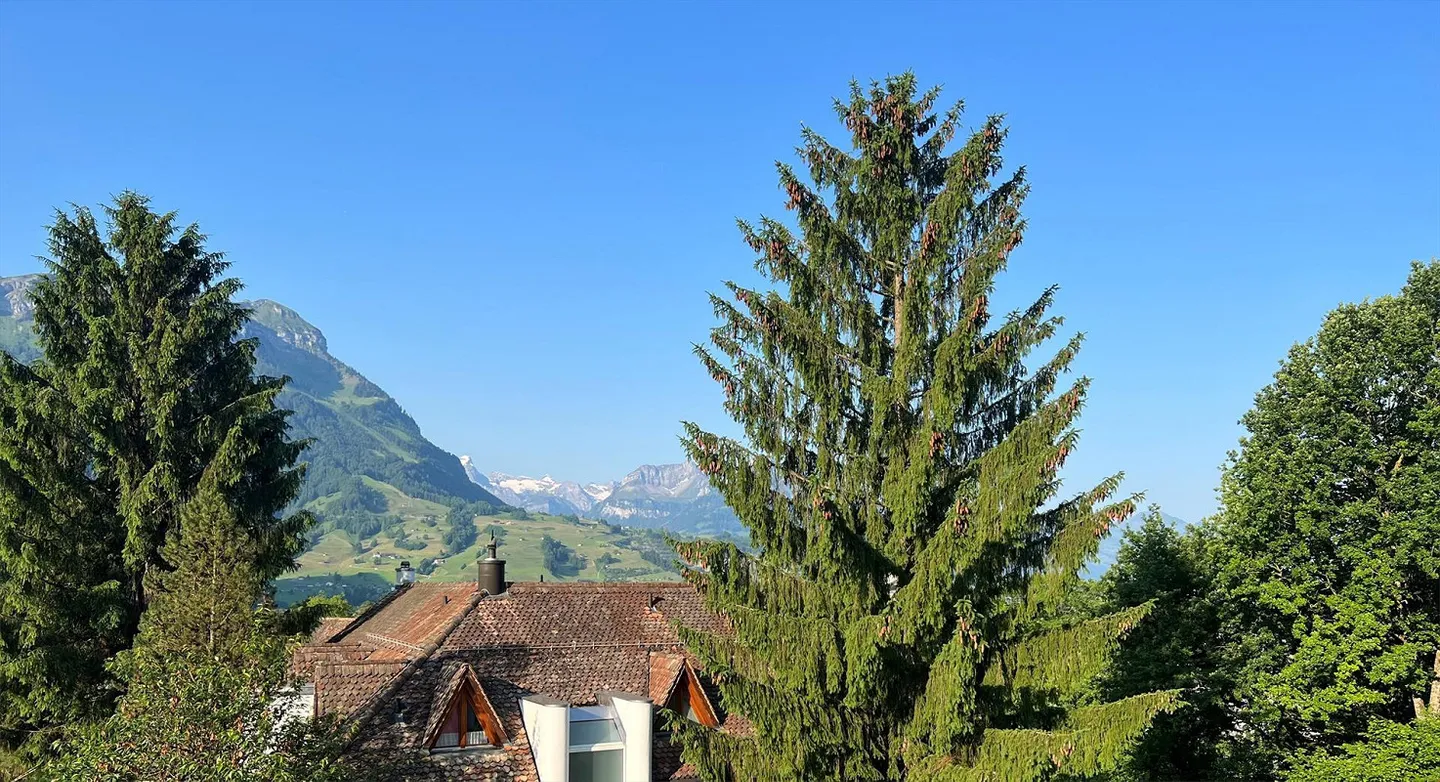 Stilvolle 2,5-Zimmer-Wohnung in Schwyz - Foto 3 von 12