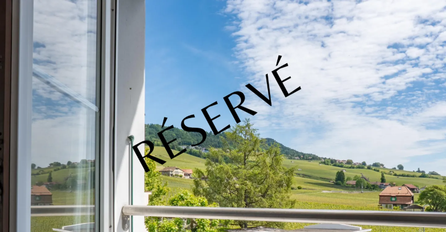 Penthouse apartment with lake and vineyard view - Photo 1 of 8