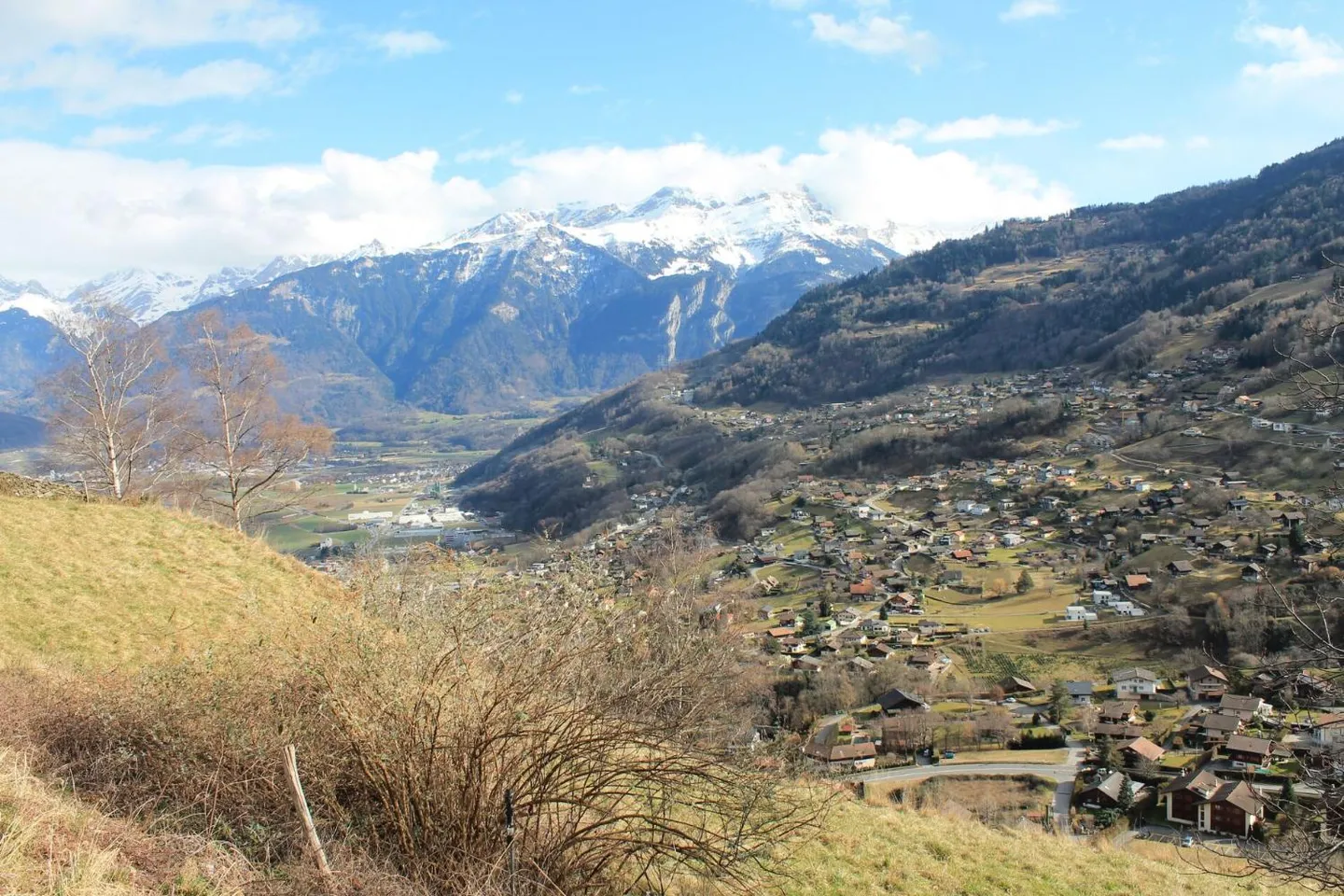 Terreno in Vendita - Foto 2 di 3